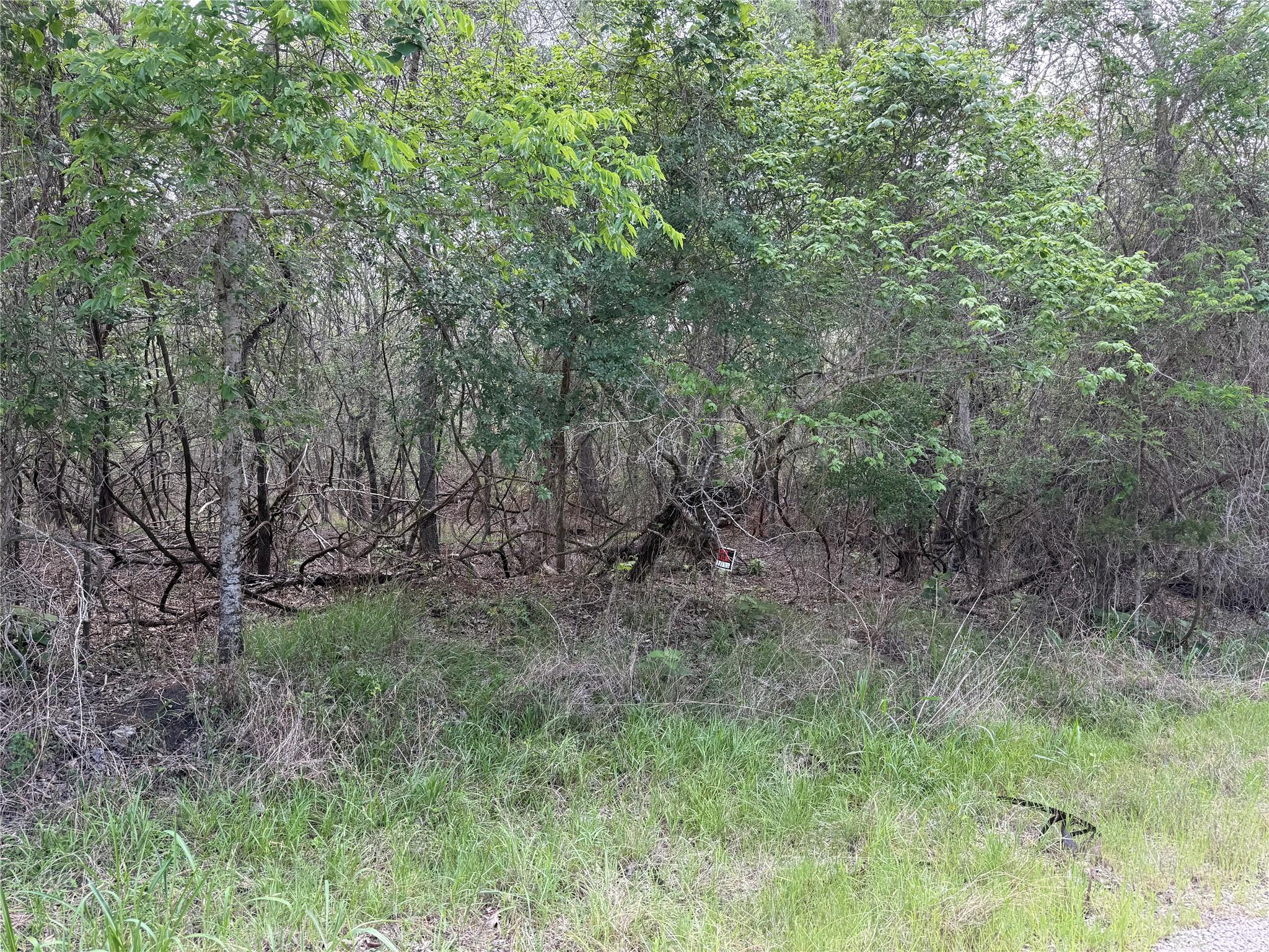 Listing photo 1 of 305  Nene Ln