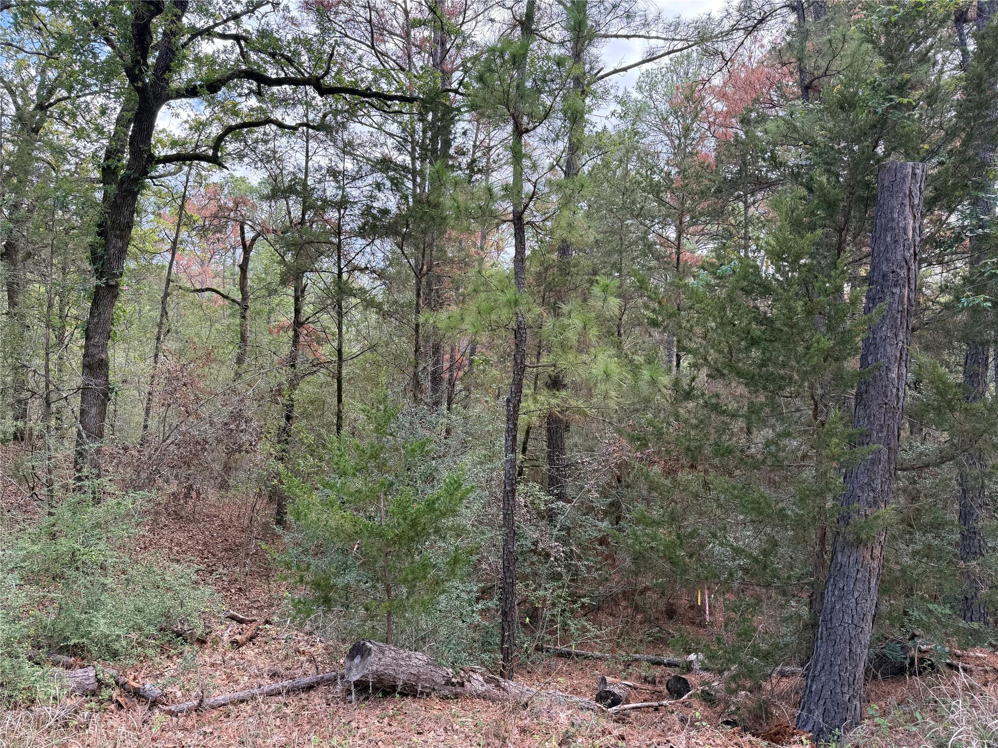 Listing photo 1 of 125  Lamaloa Ln