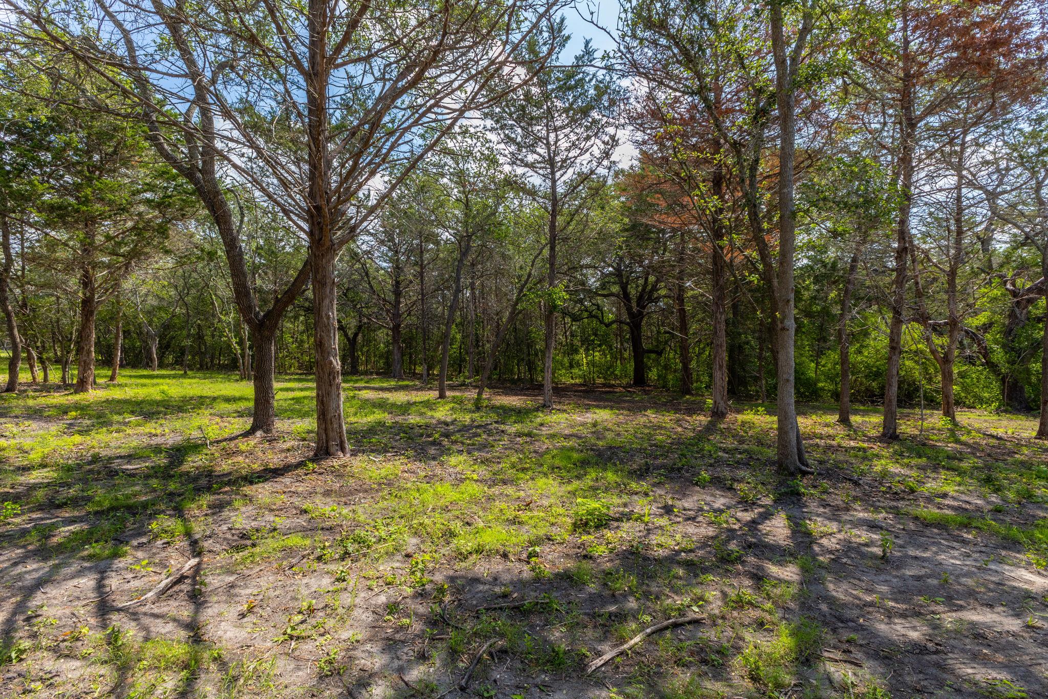 Listing photo 1 of 1910 (Tract #1)  Baca Loop
