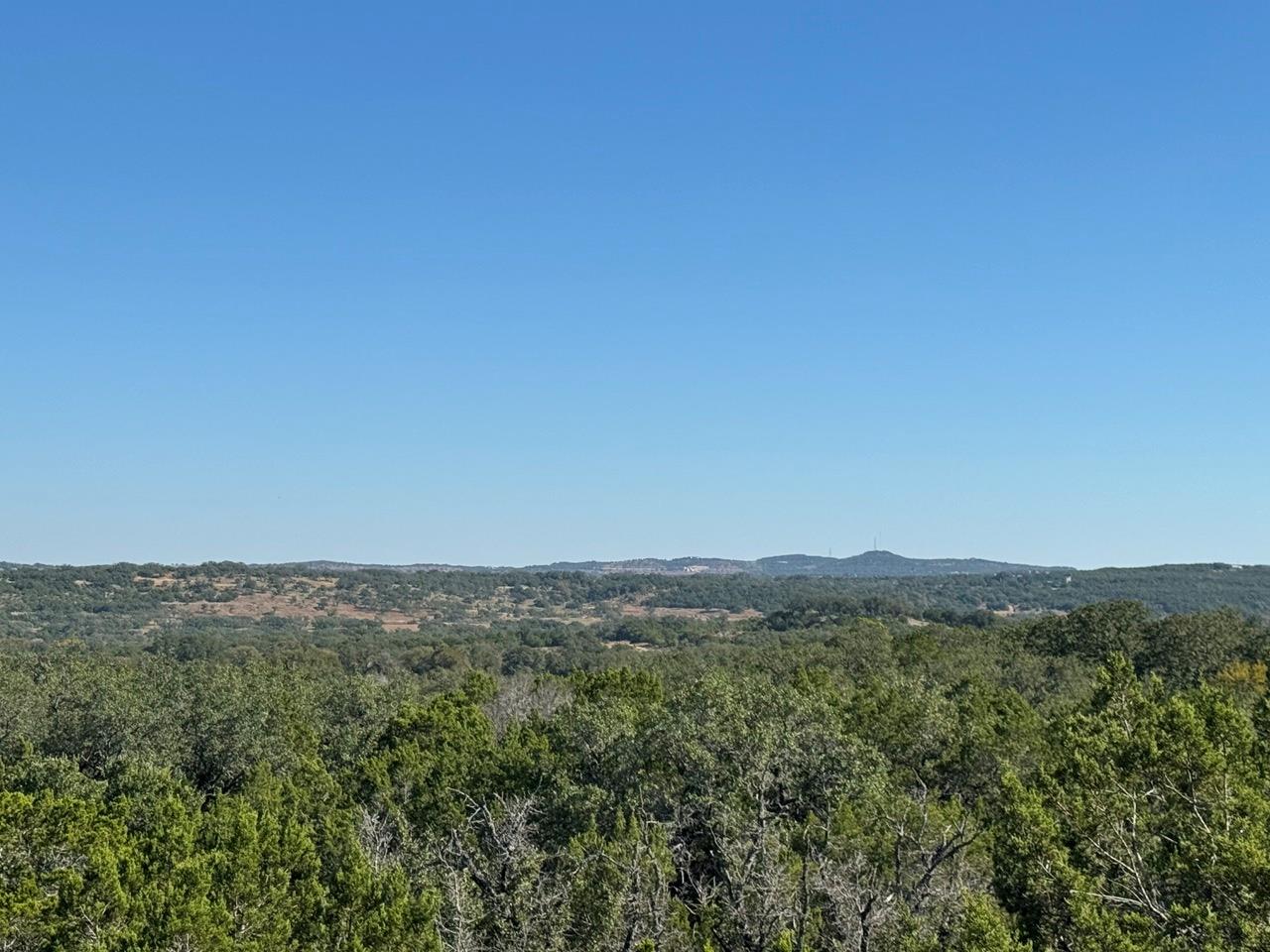 View of mountain backdrop featuring a heavily woo