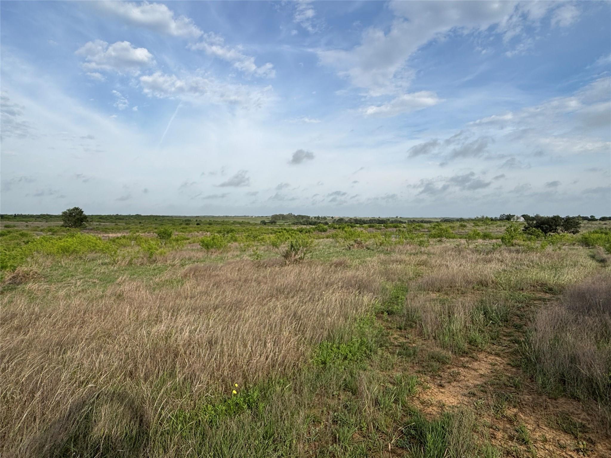 Expansive open land featuring diverse natural gra