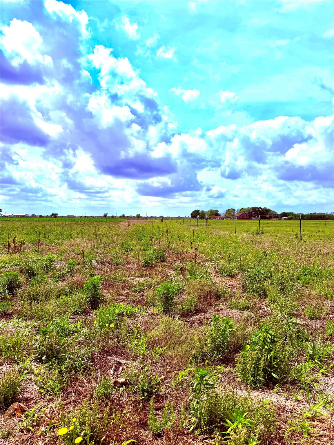 The property features an expansive open field wit