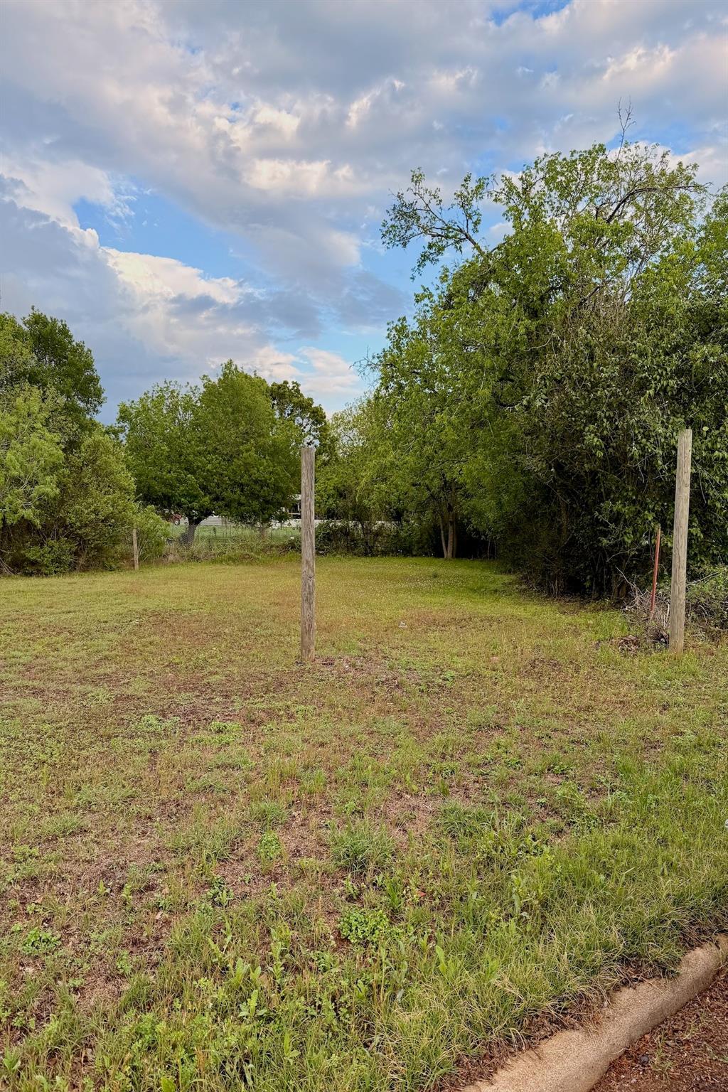 Expansive grassy lot with mature trees and a clea