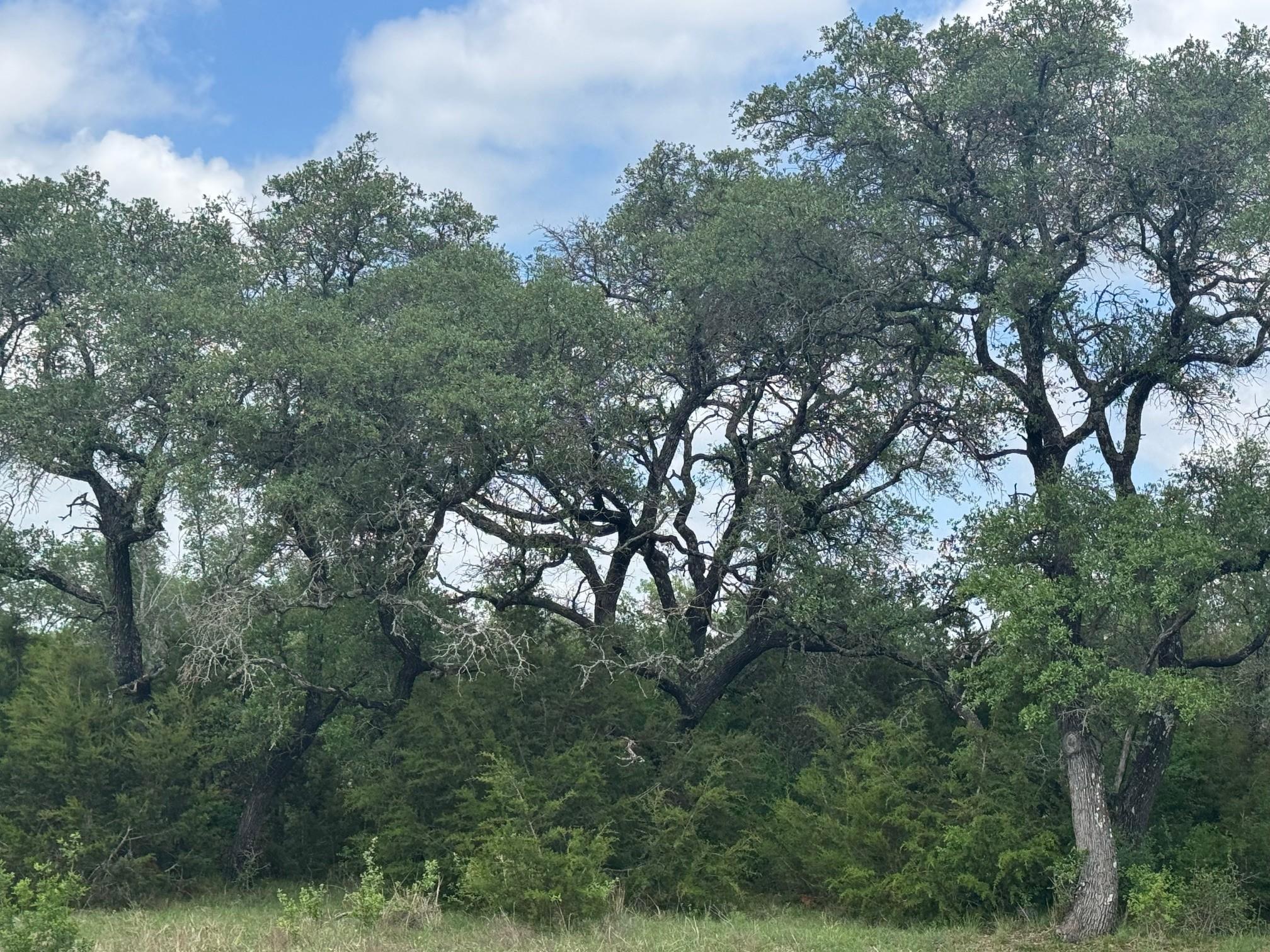 Listing photo 1 of Lot 40  Maverick Way