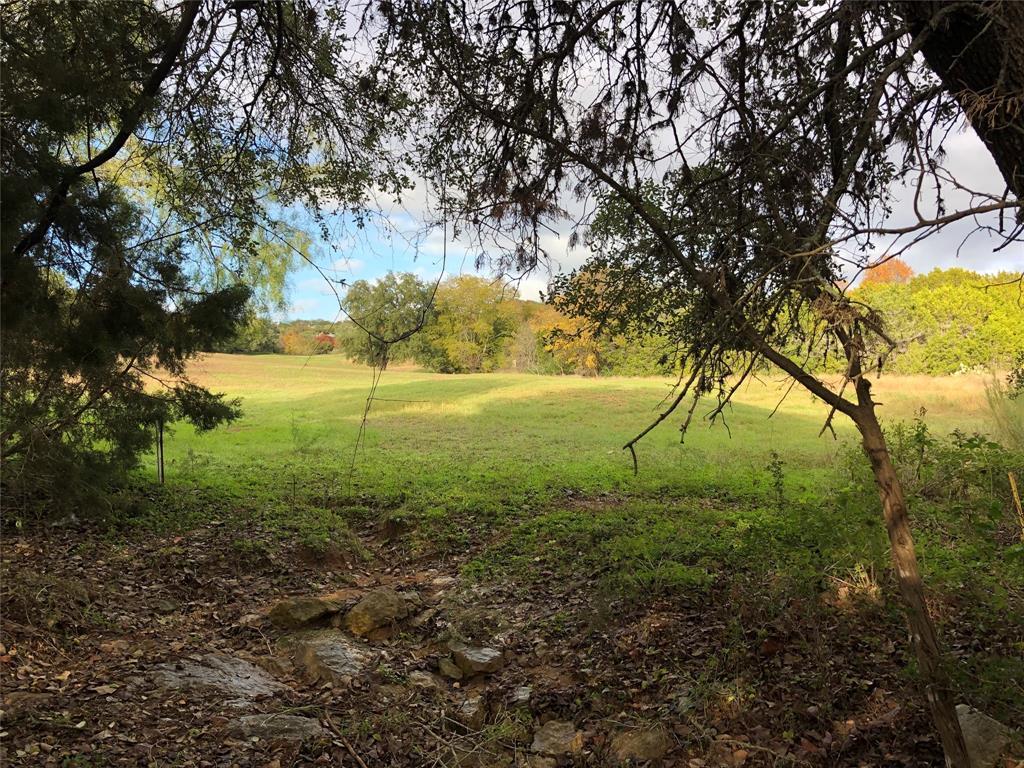 Mature trees frame a peaceful view of the open gr