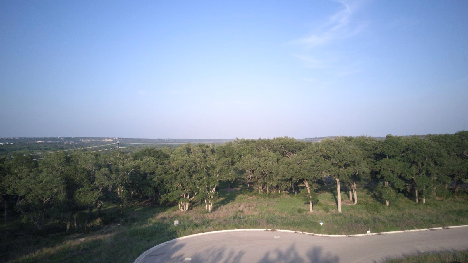 Expansive treed landscape with a partial cul-de-s