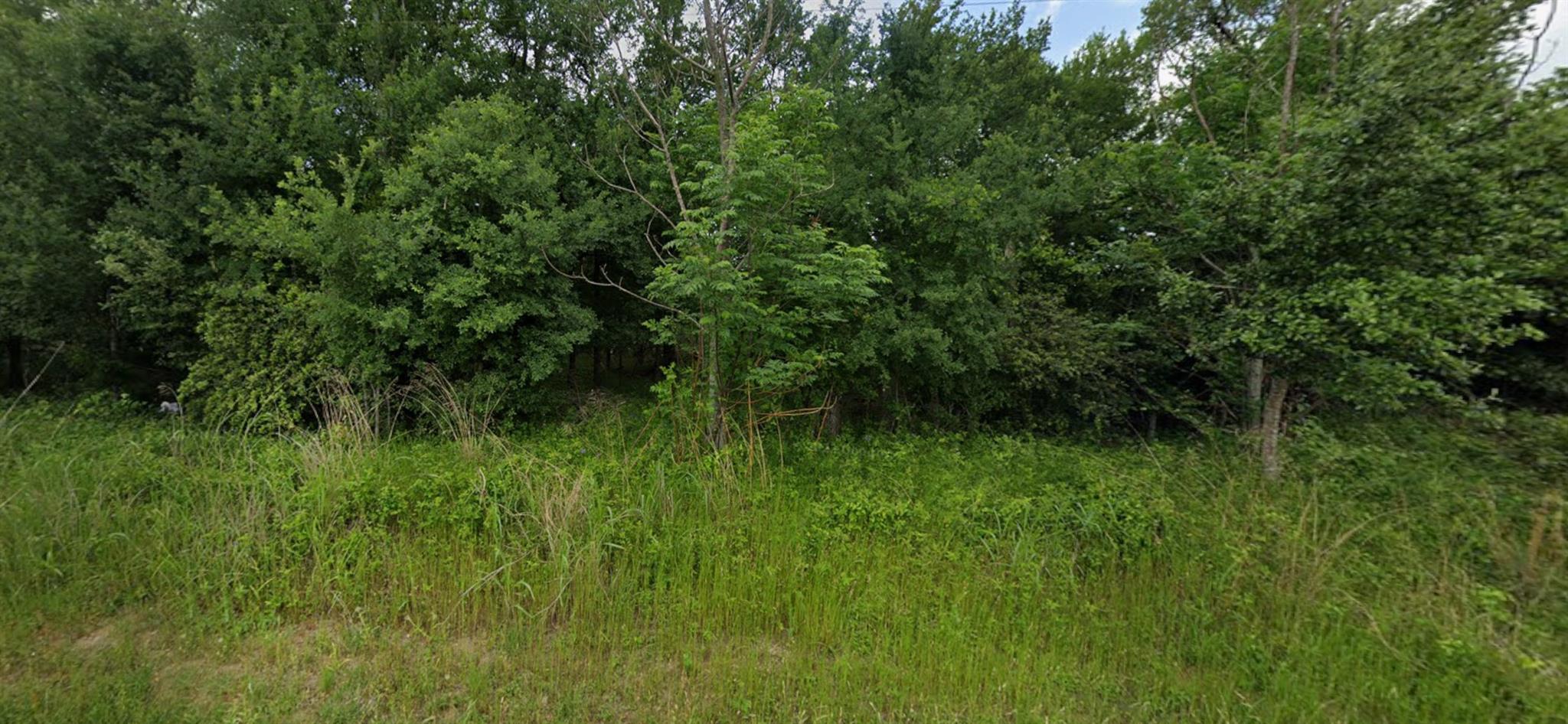 The property features lush green foliage and matu