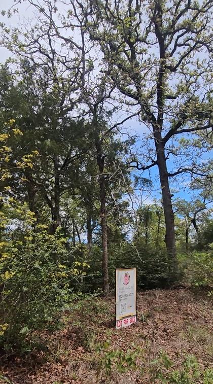 The property features mature trees and natural ve