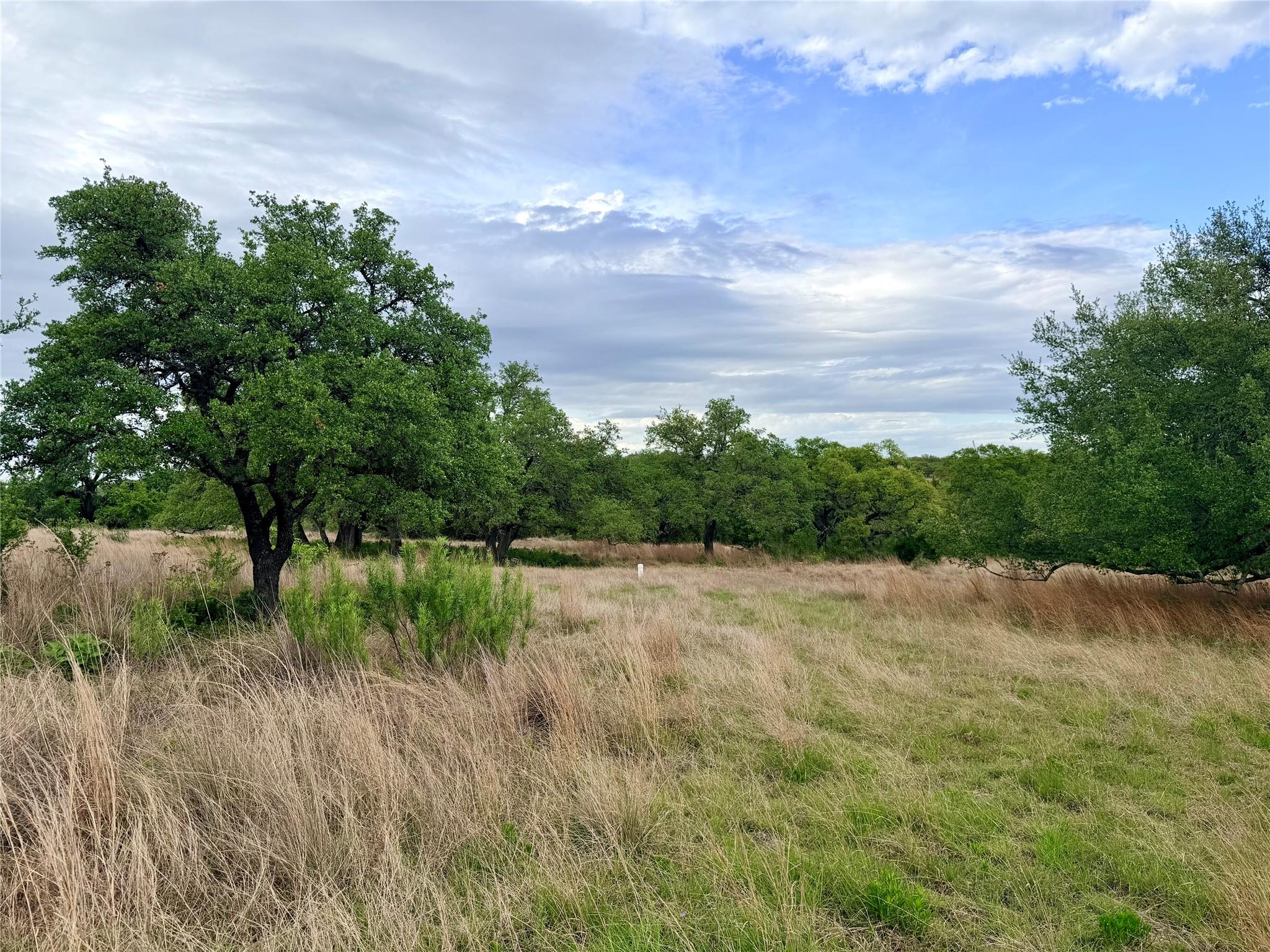 This property features an expansive natural lands