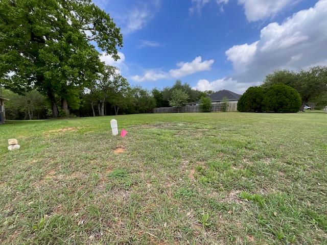 Expansive green lawn with mature trees and a clea