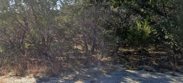 The property features abundant natural foliage an