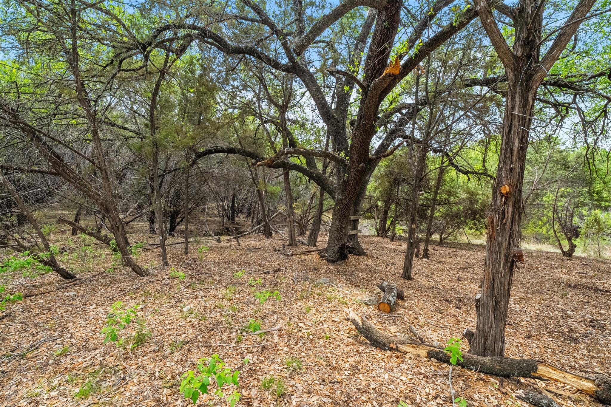The property features a natural, wooded landscape