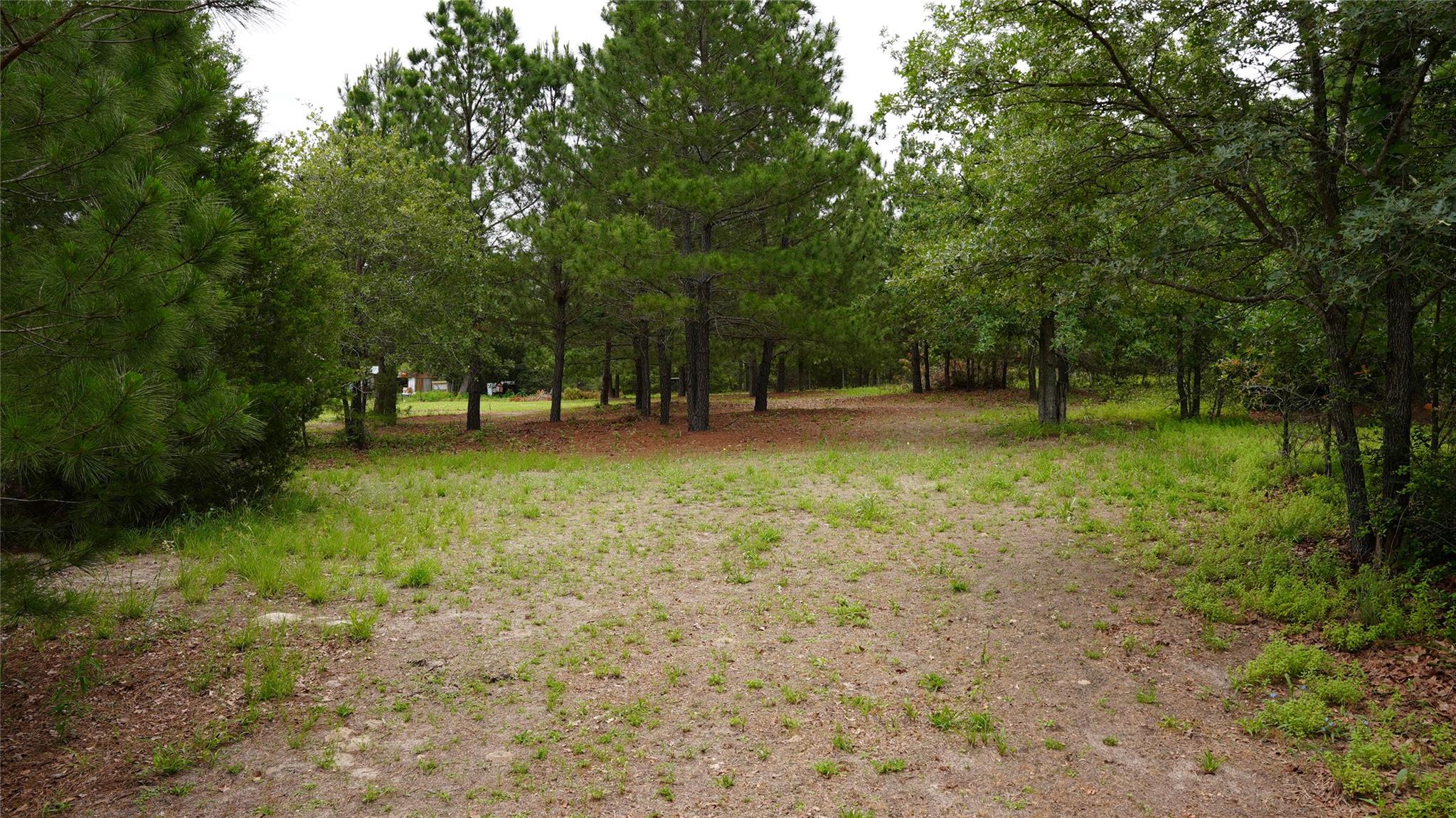 A spacious, naturally illuminated lot presents an