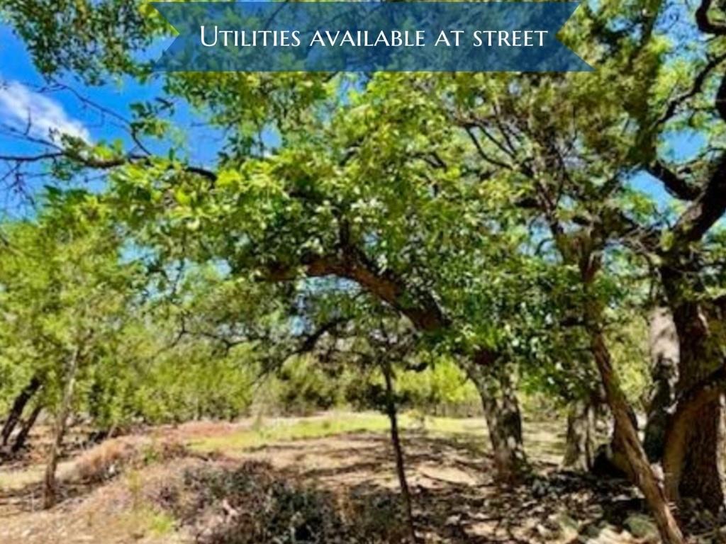 Listing photo 1 of 21422  Patton Ave
