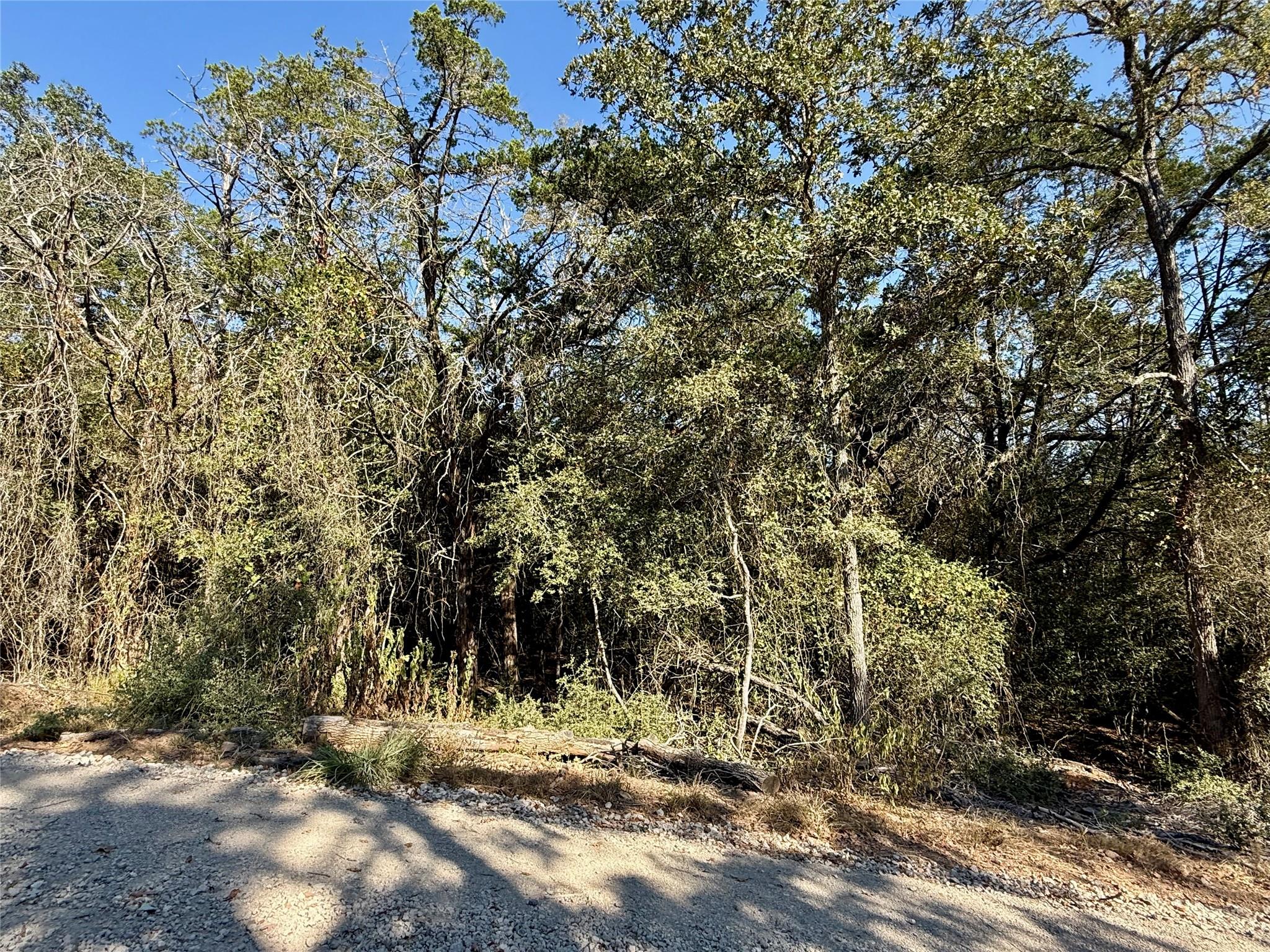 Listing photo 1 of TBD Lot 1232  Hanauma Dr