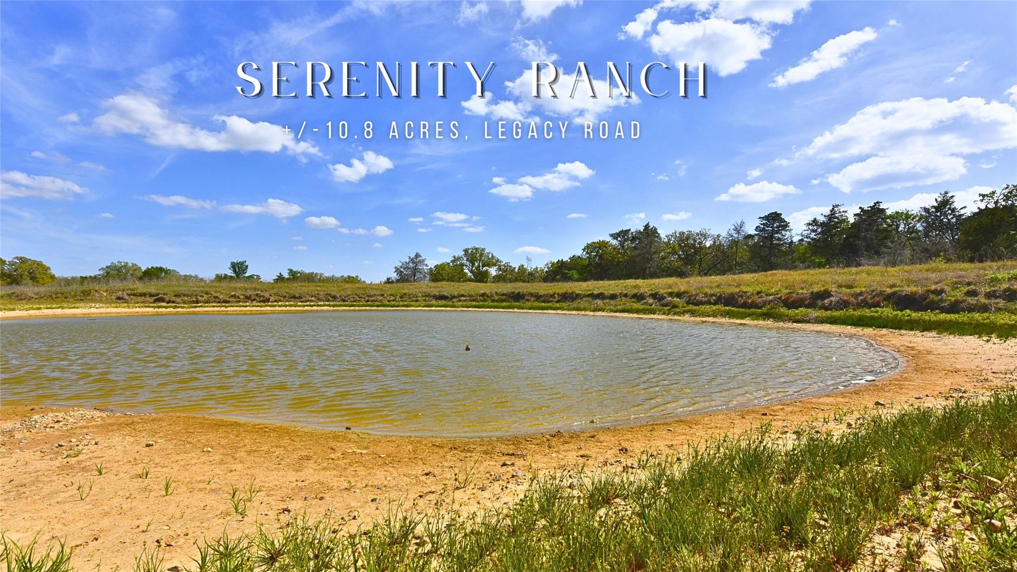 Natural water feature with an earthen bank and su
