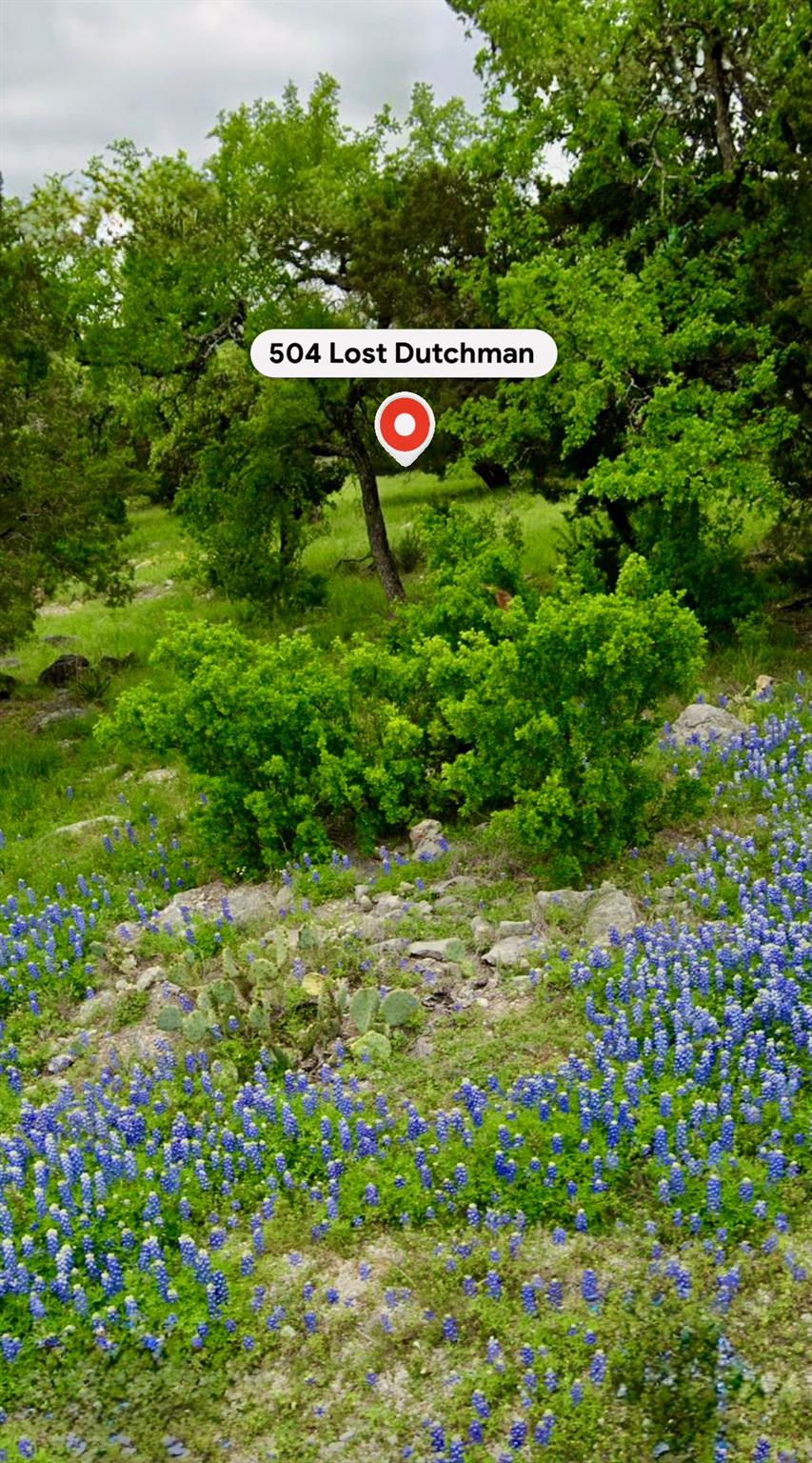 Natural landscape featuring abundant green foliag
