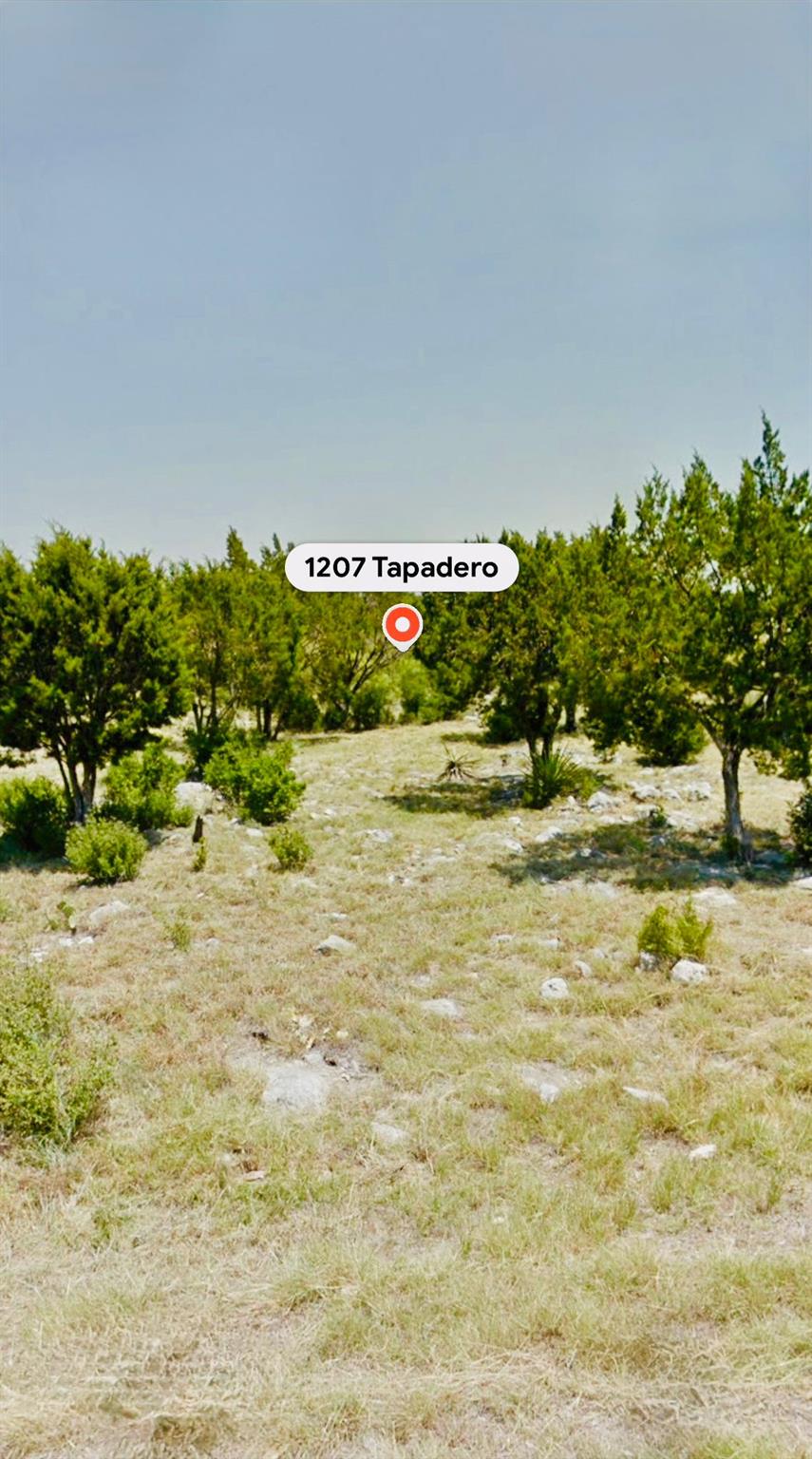 Expansive undeveloped lot featuring a natural lan