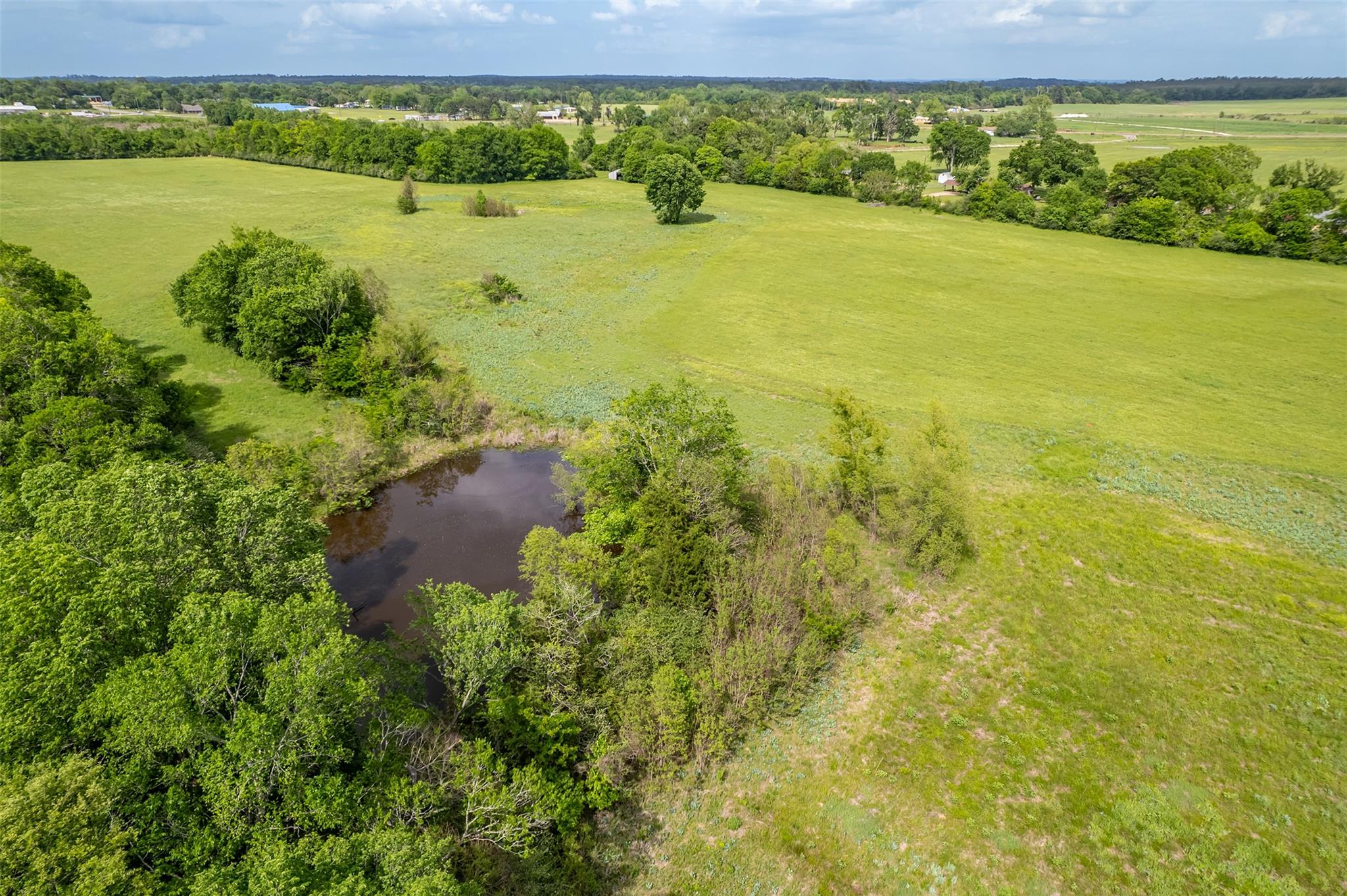Expansive green landscape featuring a central pon