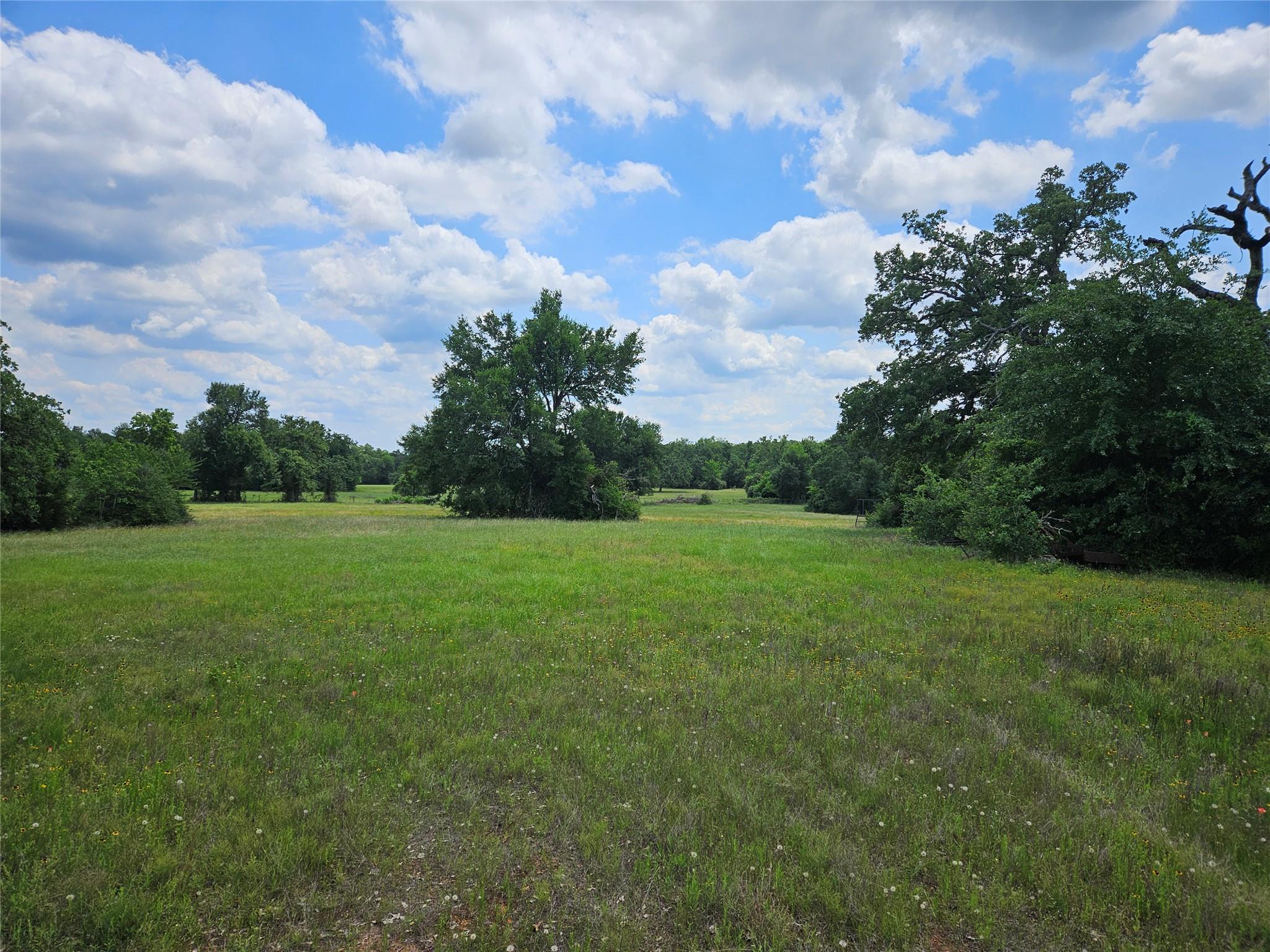 Expansive open field featuring natural grasses an