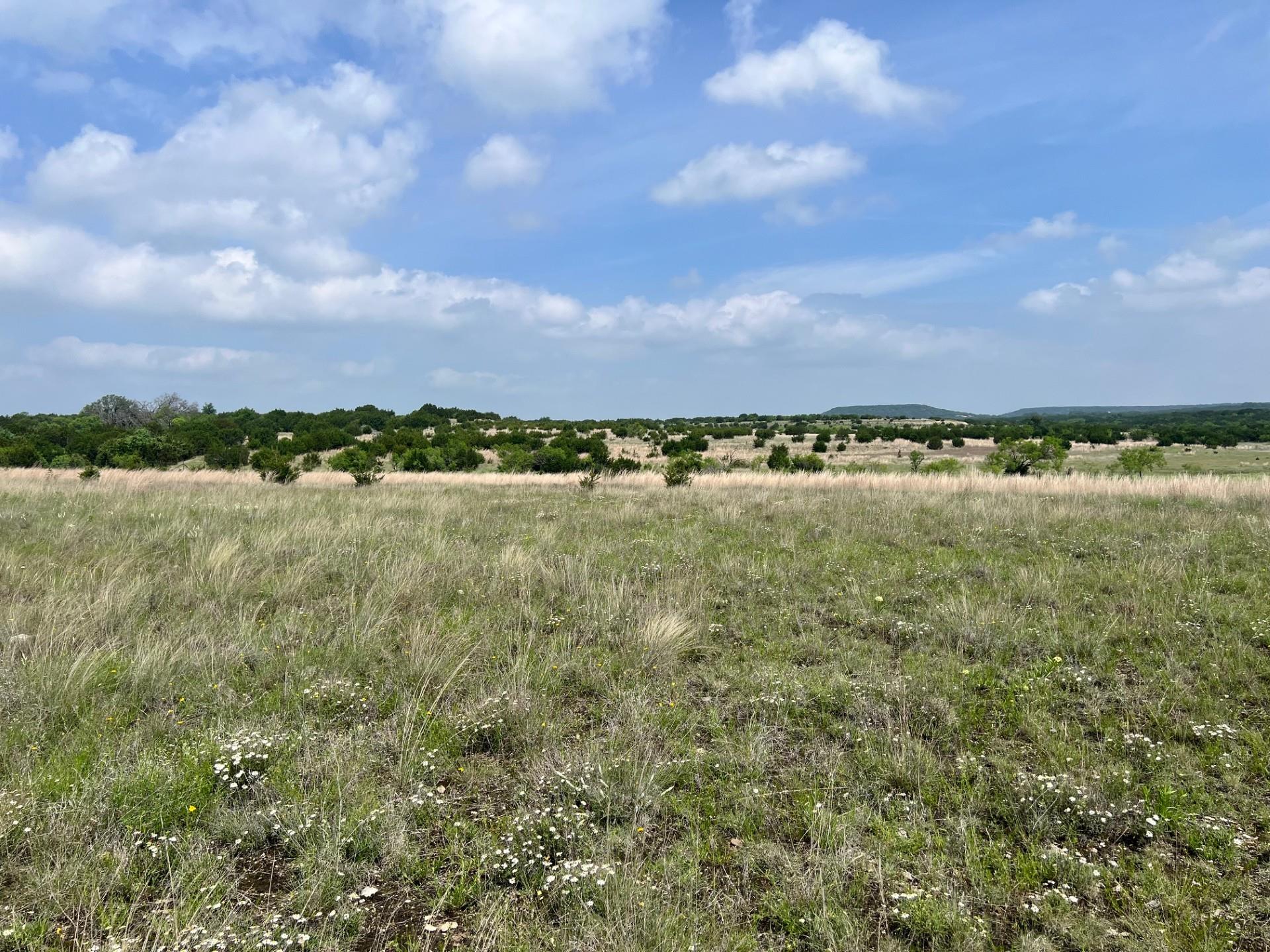 Expansive undeveloped land featuring natural gras
