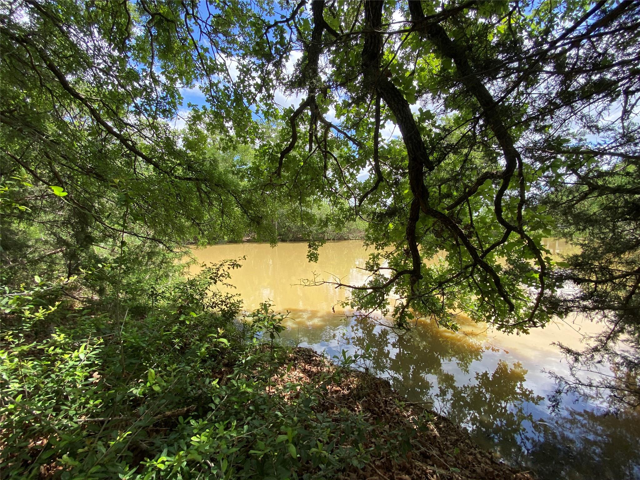 Natural waterway surrounded by dense, mature foli