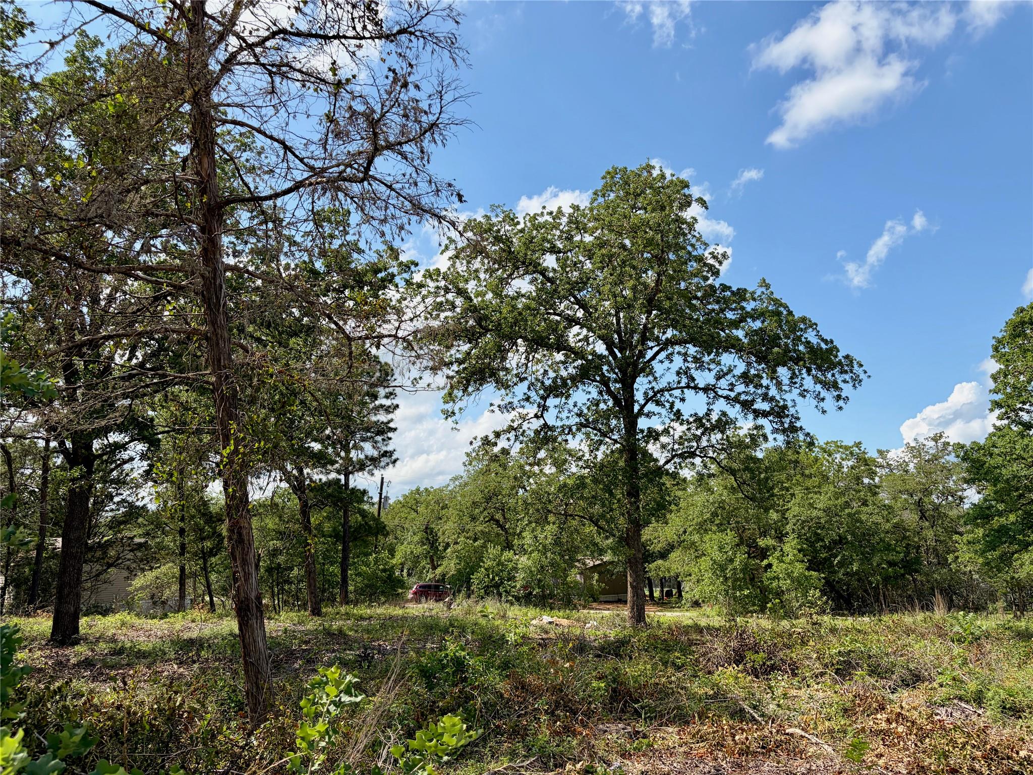 Listing photo 1 of Lots-97/98  Shawnee Dr
