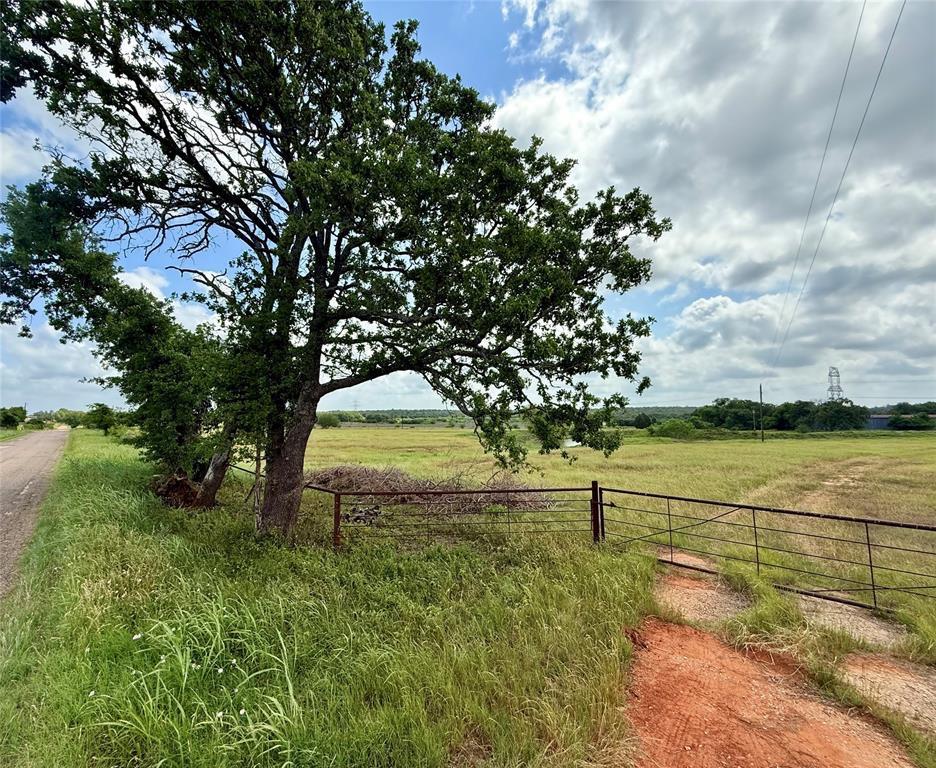 Expansive open field with scattered trees and a m