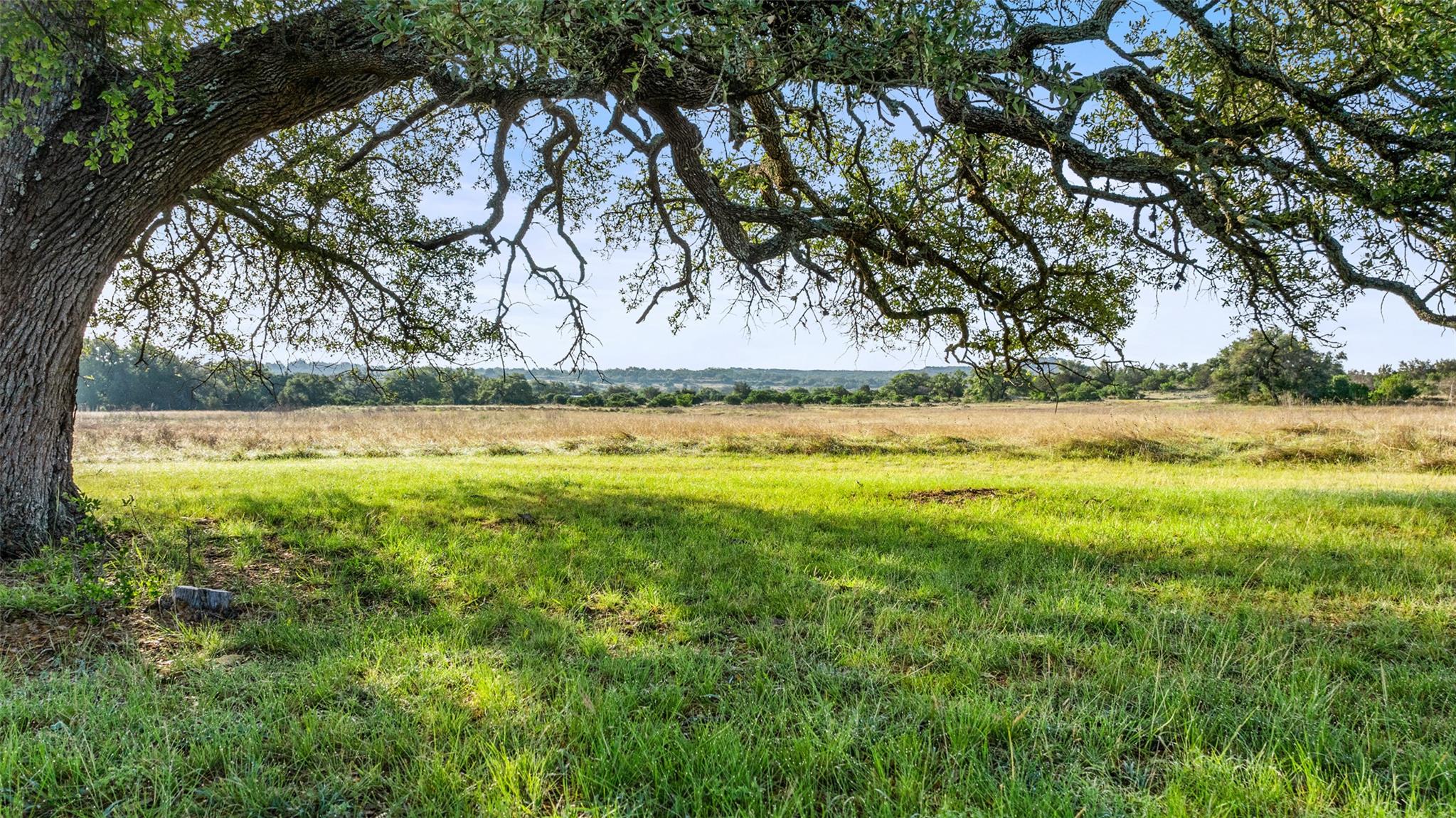View of local wilderness with rural landscape