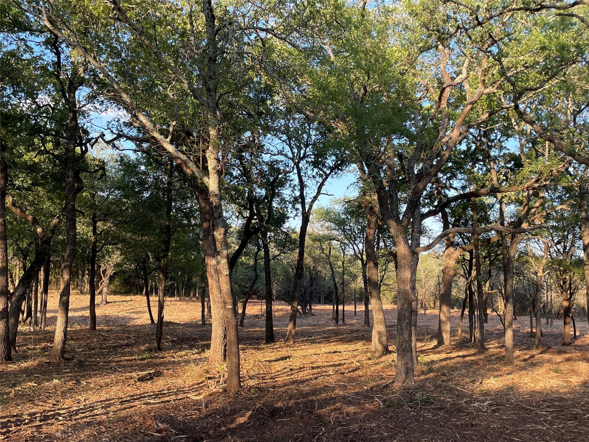 Listing photo 1 of 10960  FM 1602 Hwy