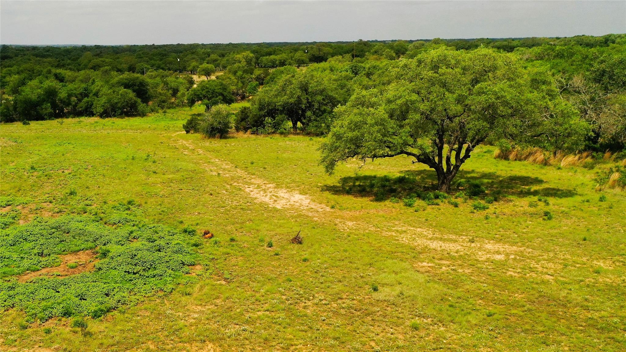 Expansive natural landscape featuring a large, ma