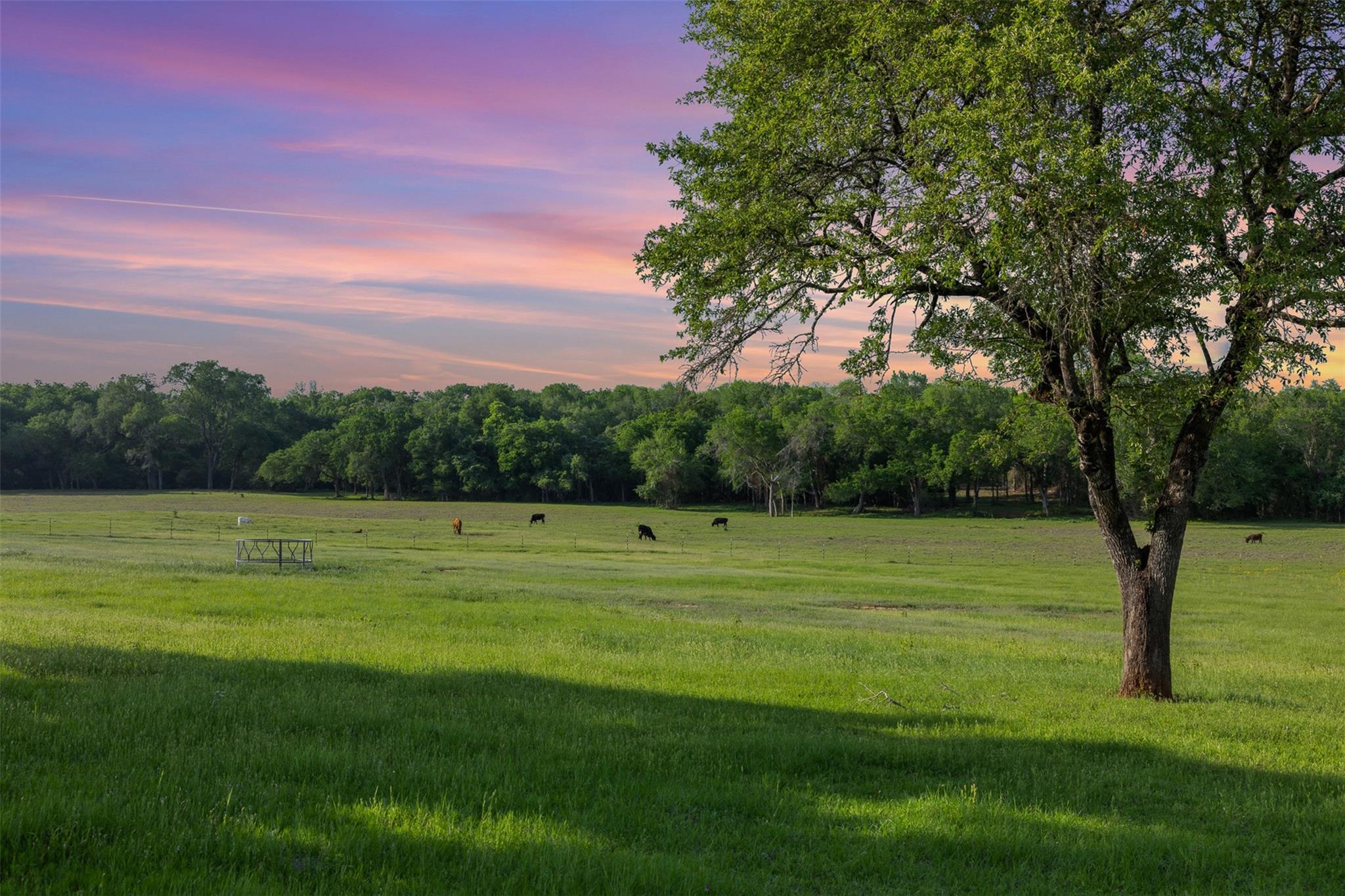 Listing photo 1 of 3004  County Road 310 None