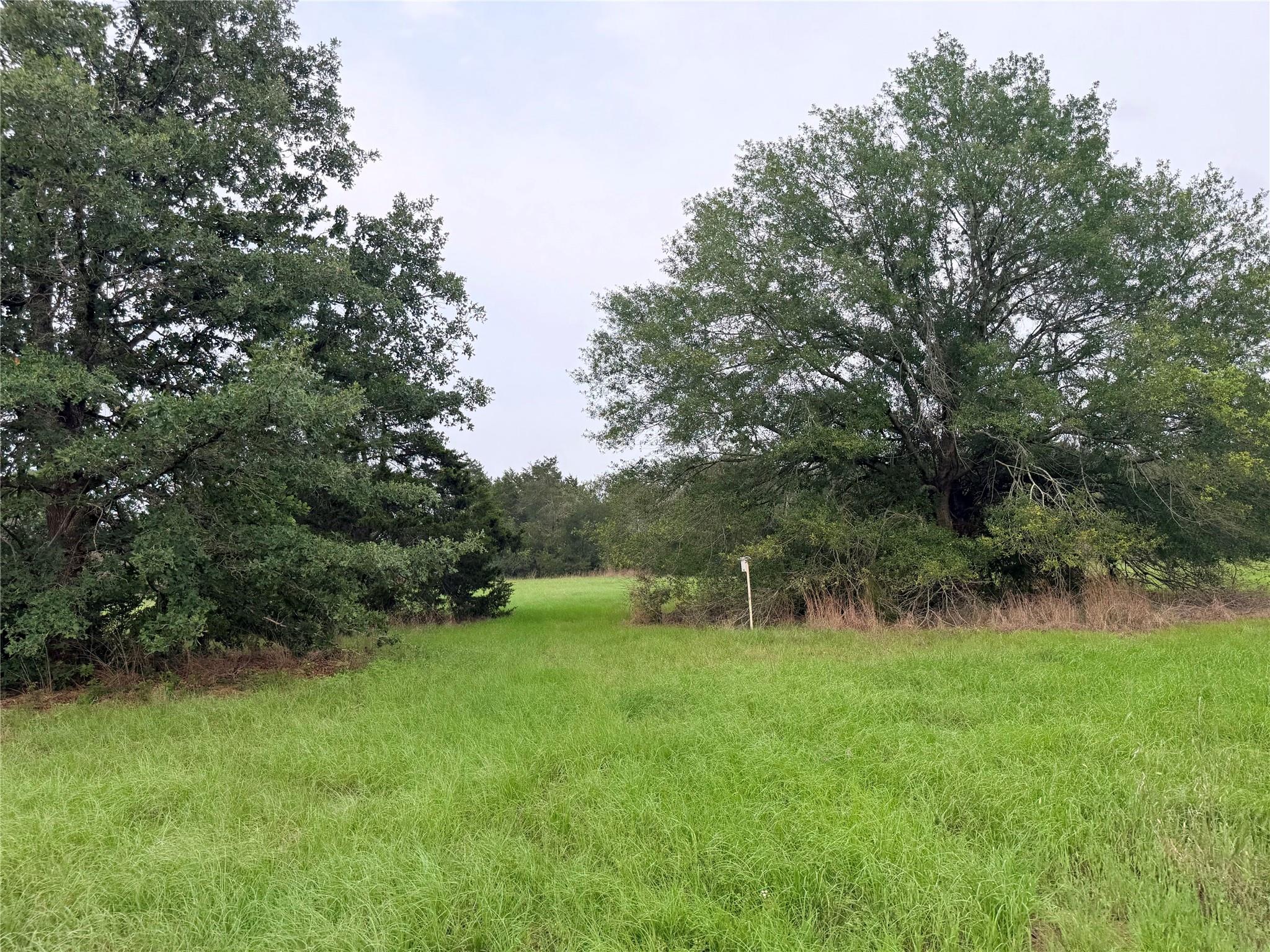 Expansive green field surrounded by mature trees,