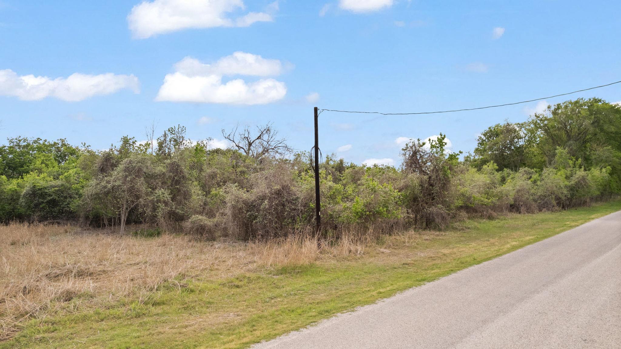 Expansive lot with varied vegetation and mature t