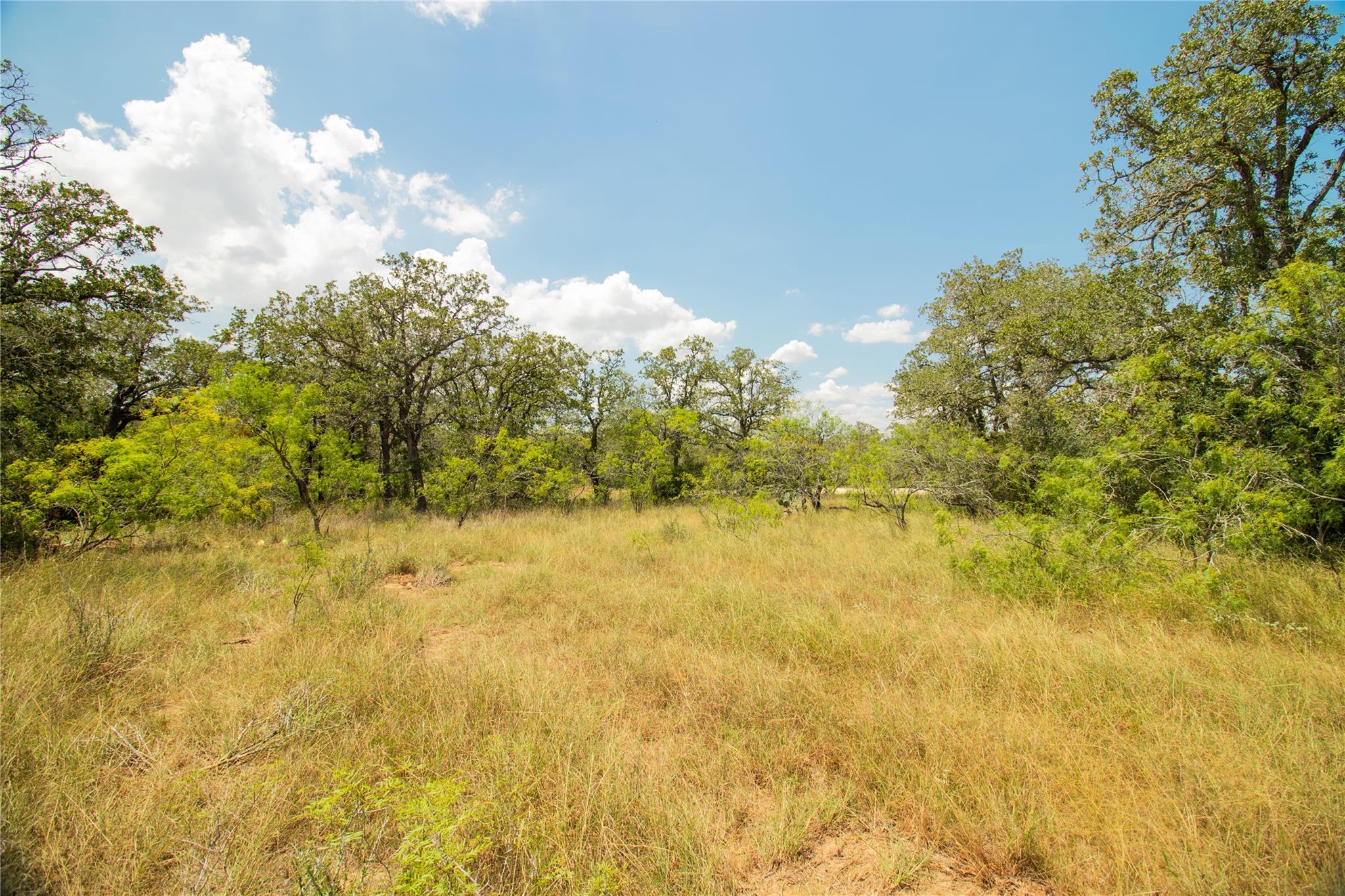 A verdant, open lot awaits your vision, surrounde