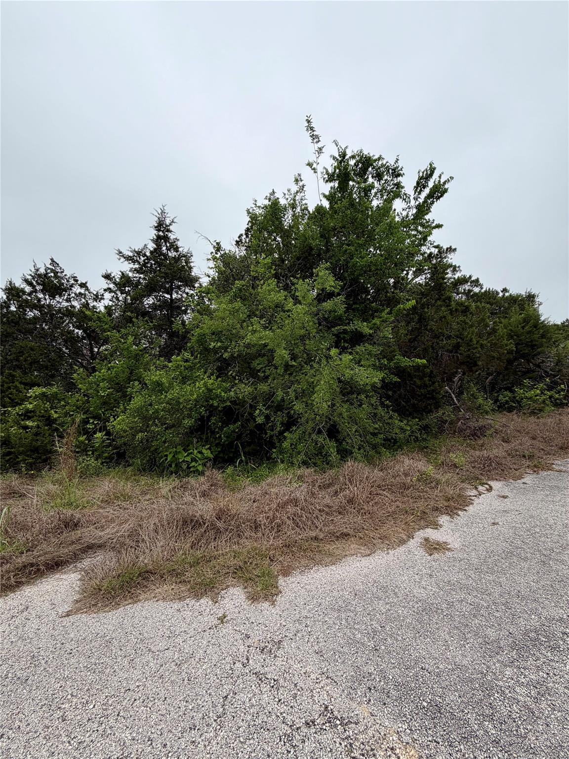 Land parcel featuring a gravel road, mature trees
