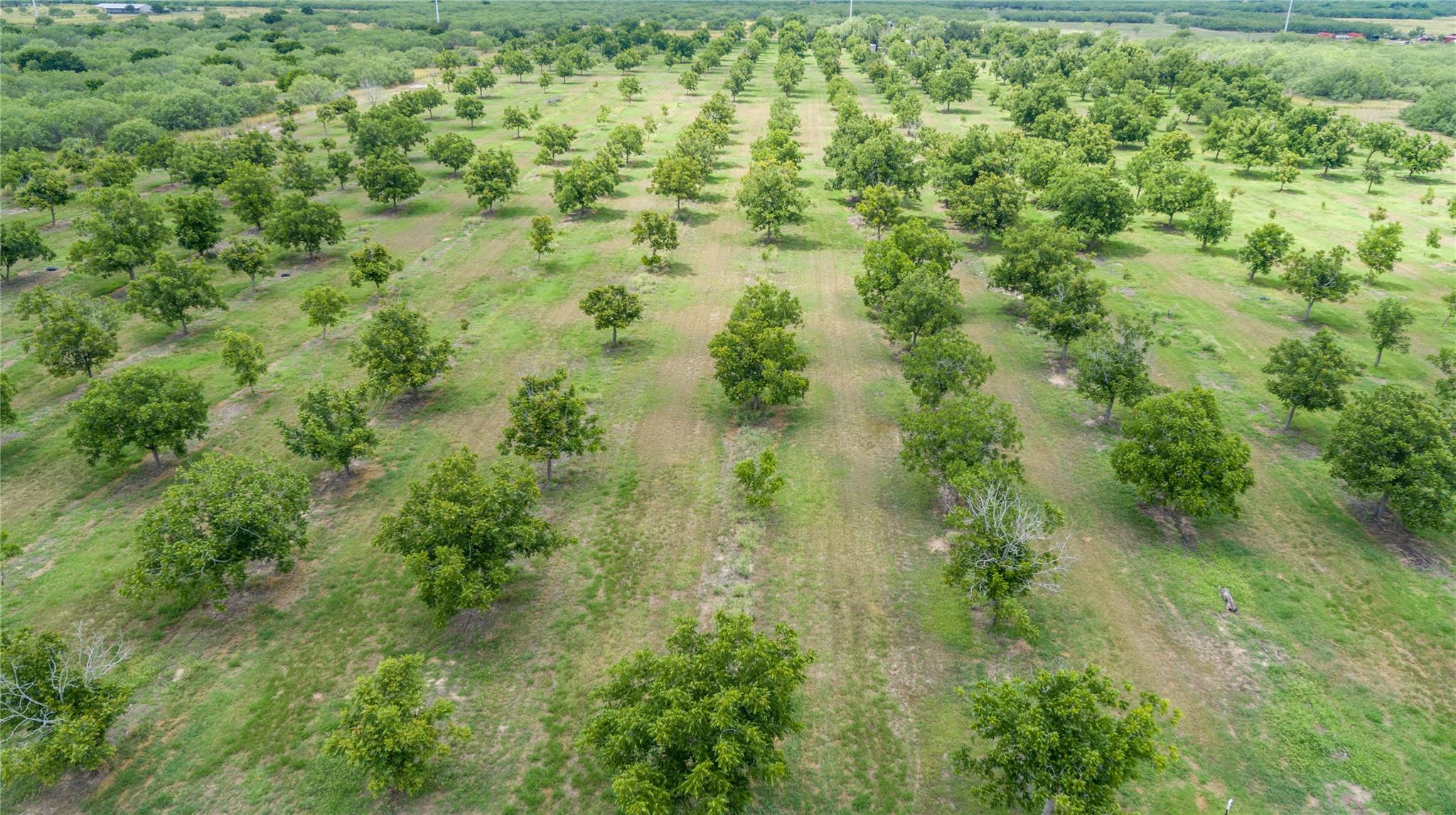 Listing photo 1 of 475  W County Road 418 None