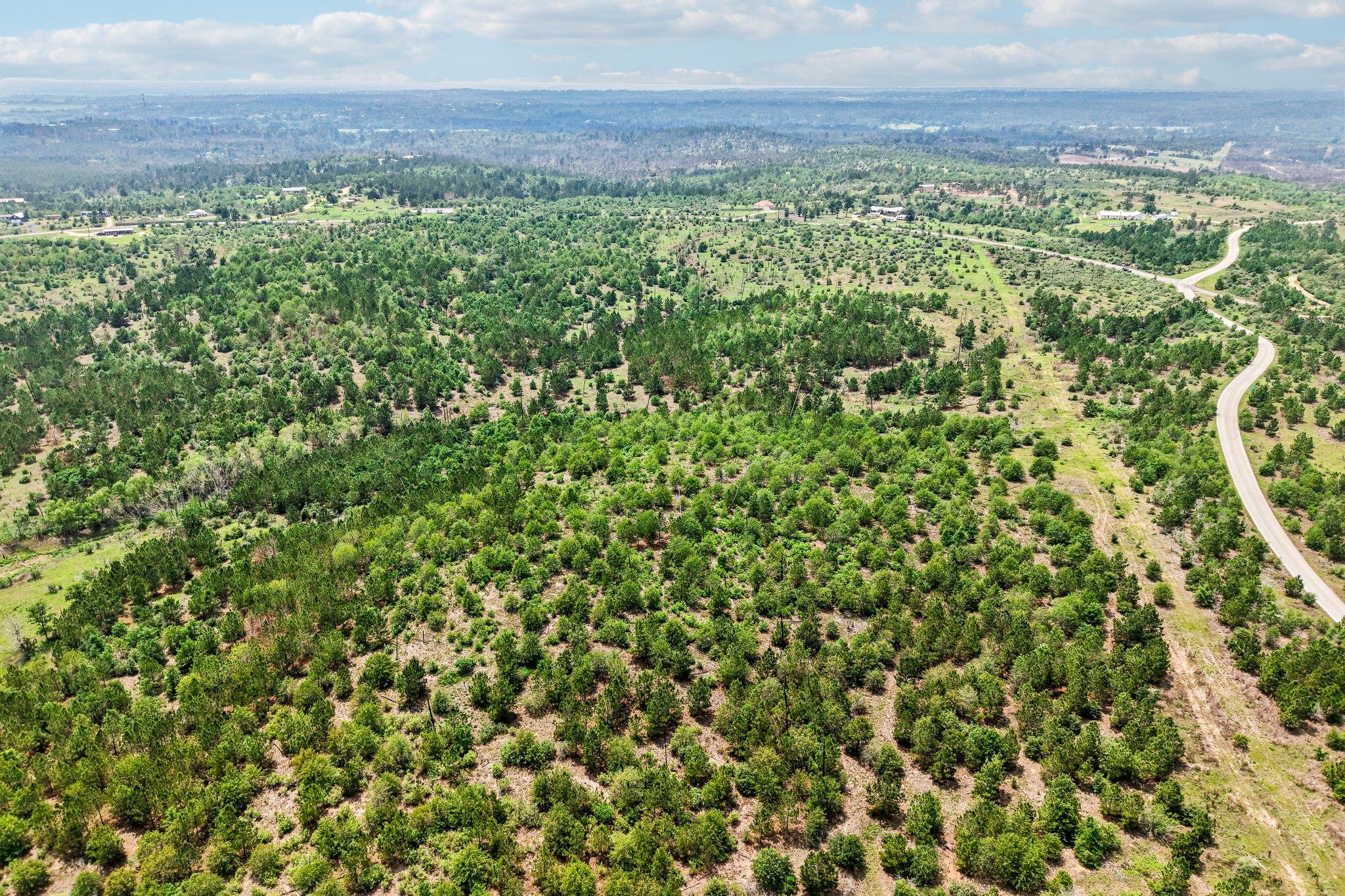 Expansive undeveloped land featuring mature trees