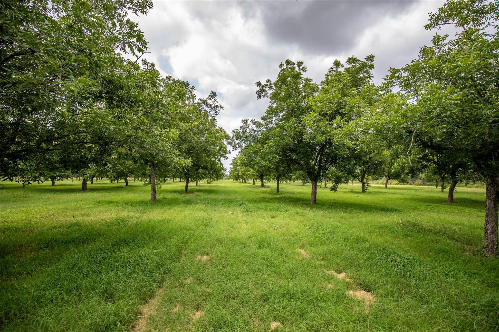 Listing photo 1 of 2432  County Road 402 B None