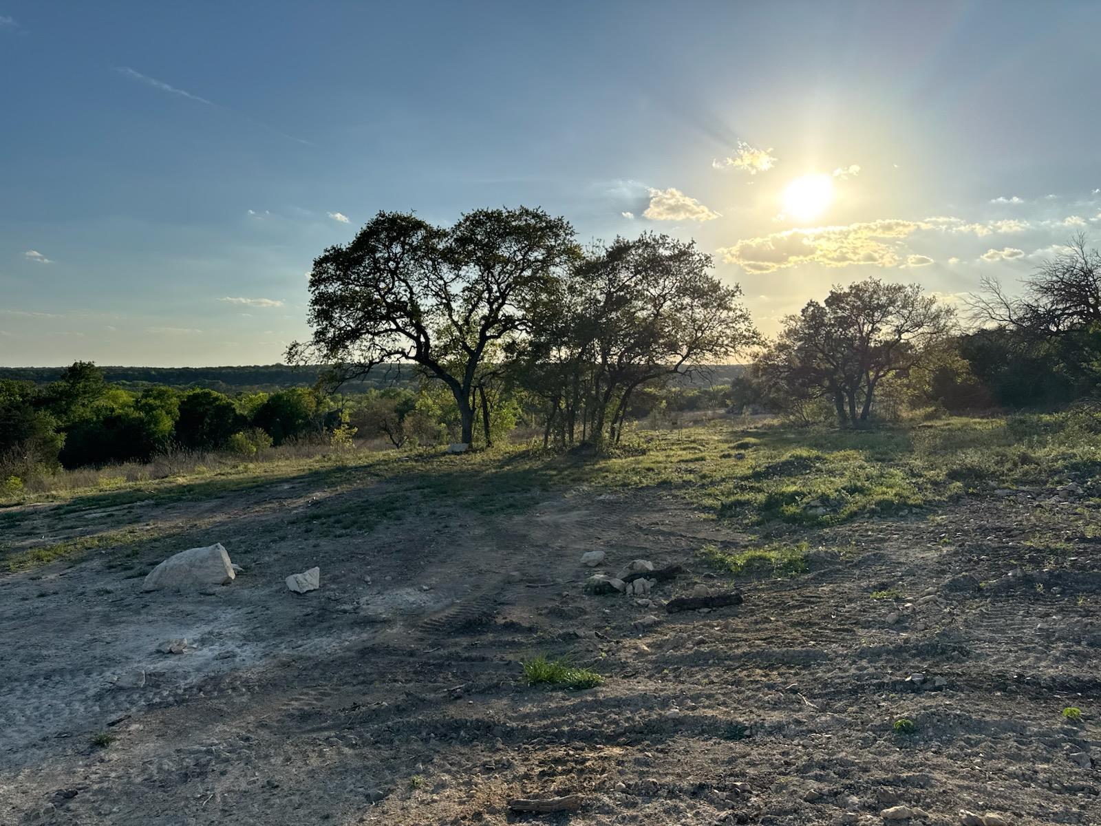 Expansive natural landscape with mature trees and