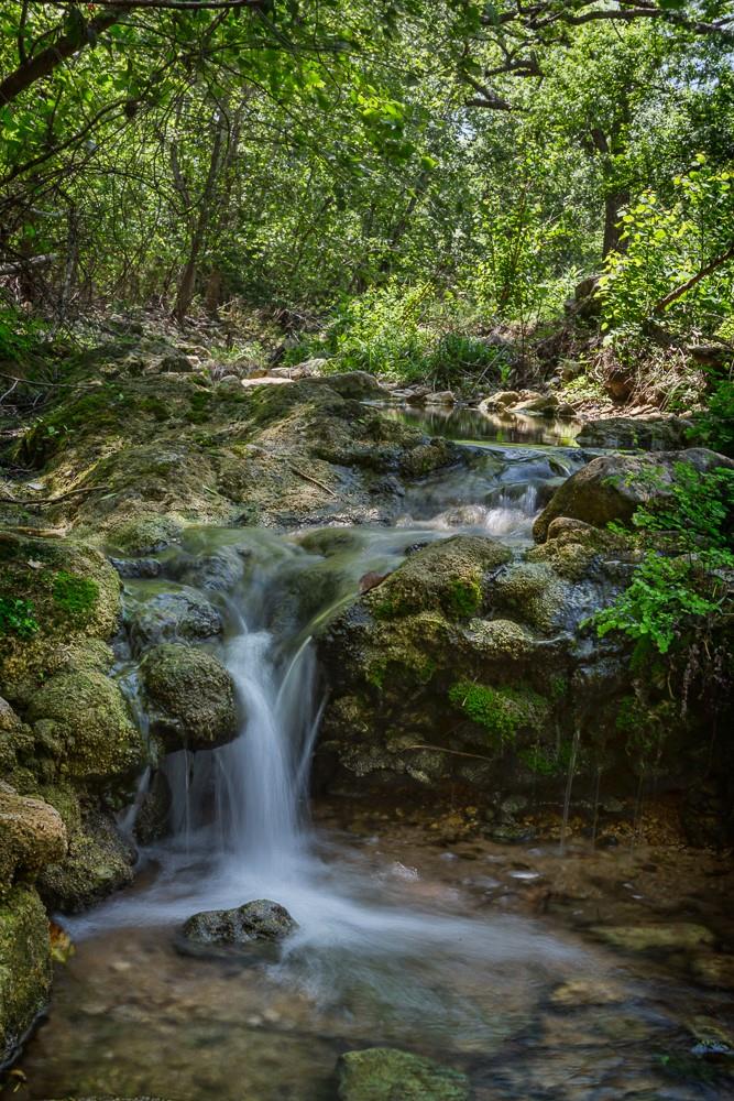 Natural rock waterfall feature surrounded by lush