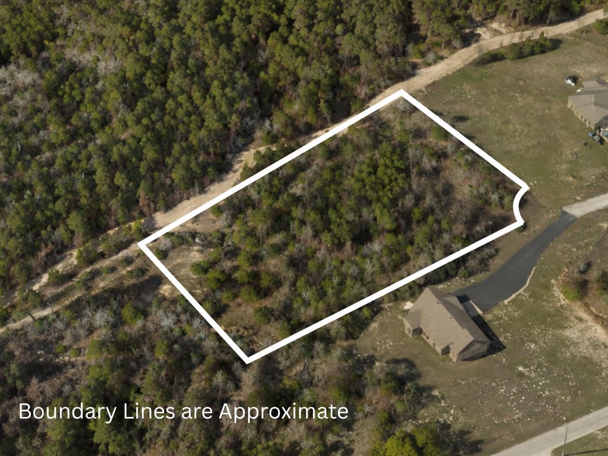 Expansive wooded lot featuring mature trees and a