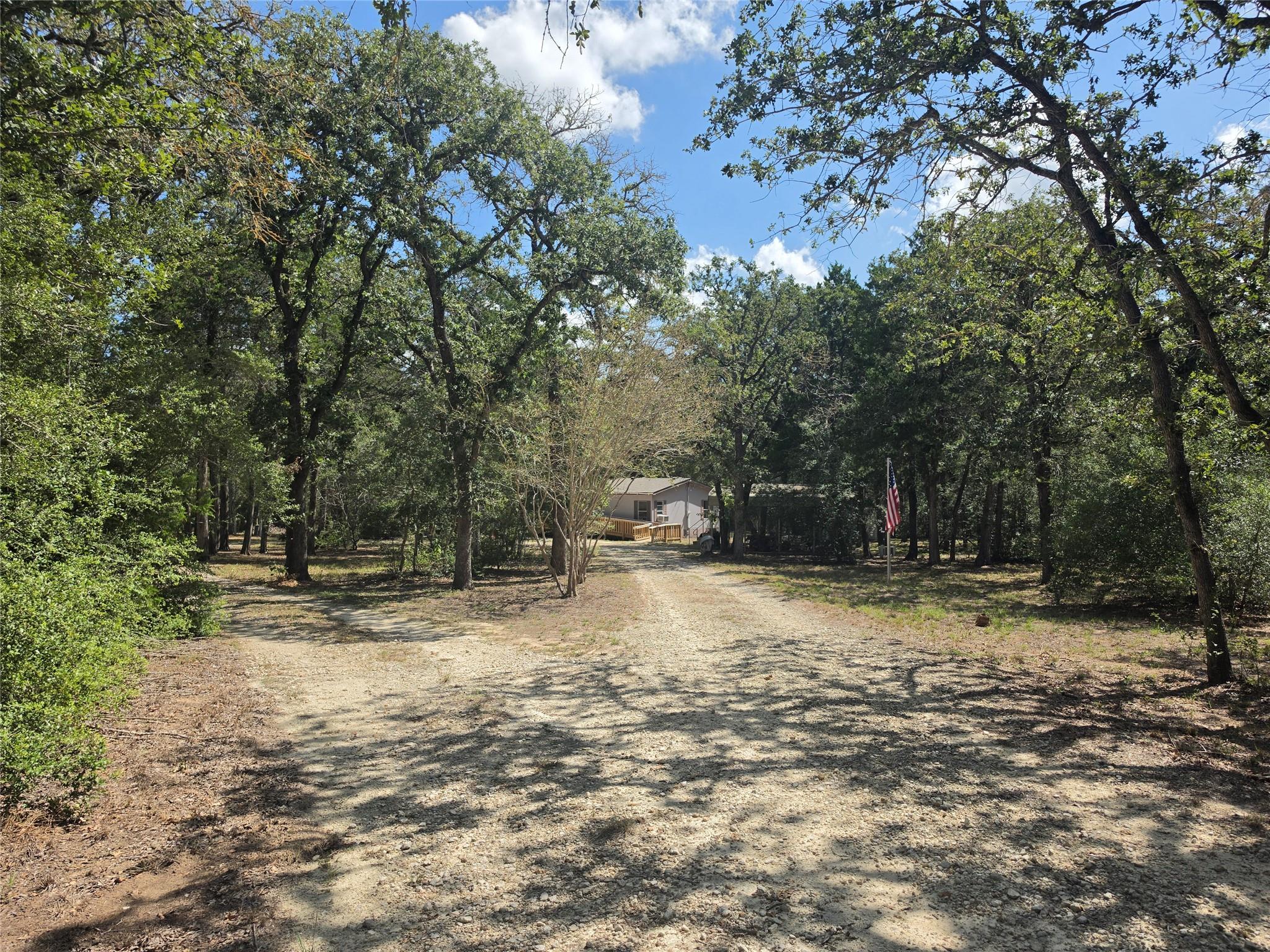 Mature trees frame the long gravel driveway leadi