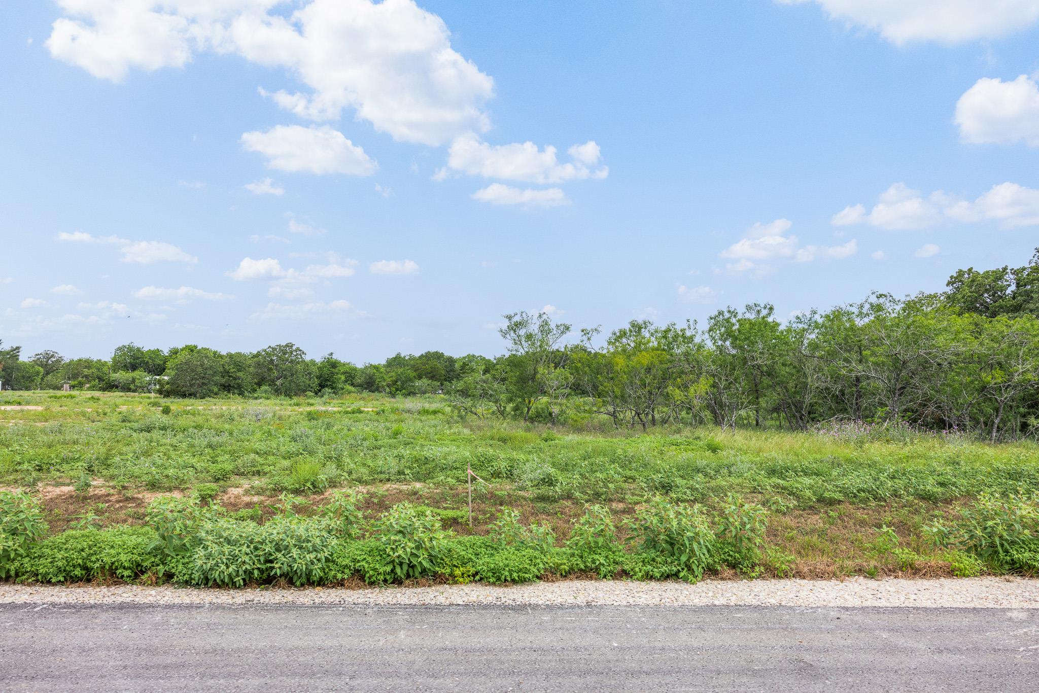 A spacious, undeveloped lot with mature trees off
