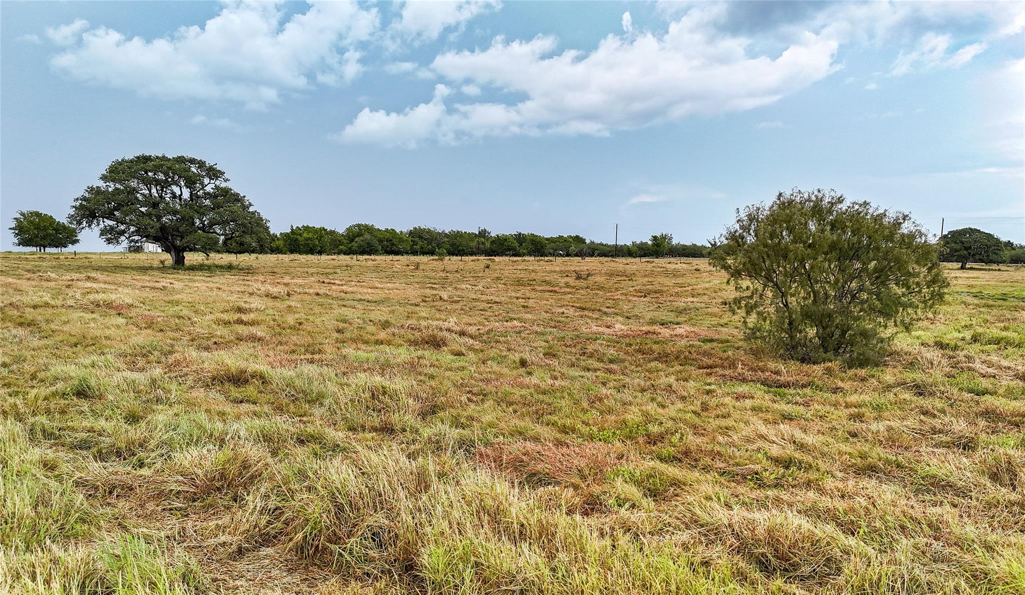 Mature trees dot this sprawling acreage under wid