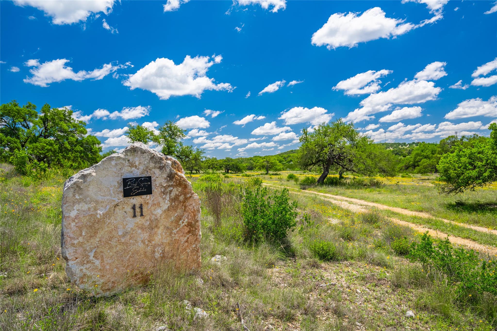 Listing photo 1 of 262  Cuesta Pass