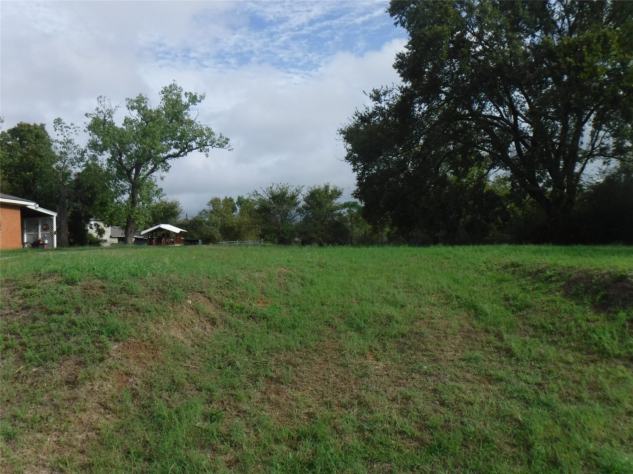 Expansive green space featuring mature trees and 