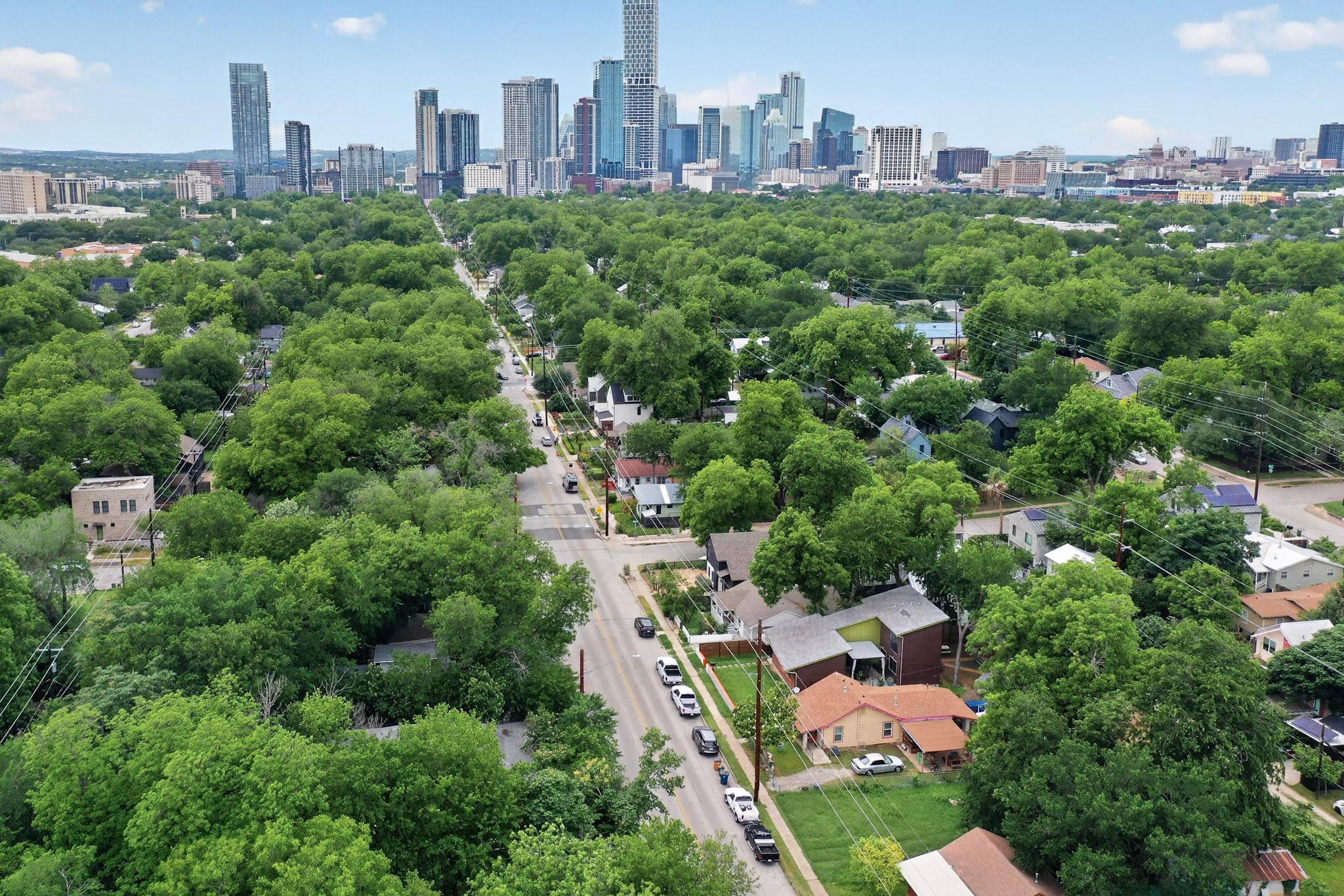 Aerial perspective showcasing dense tree canopy a