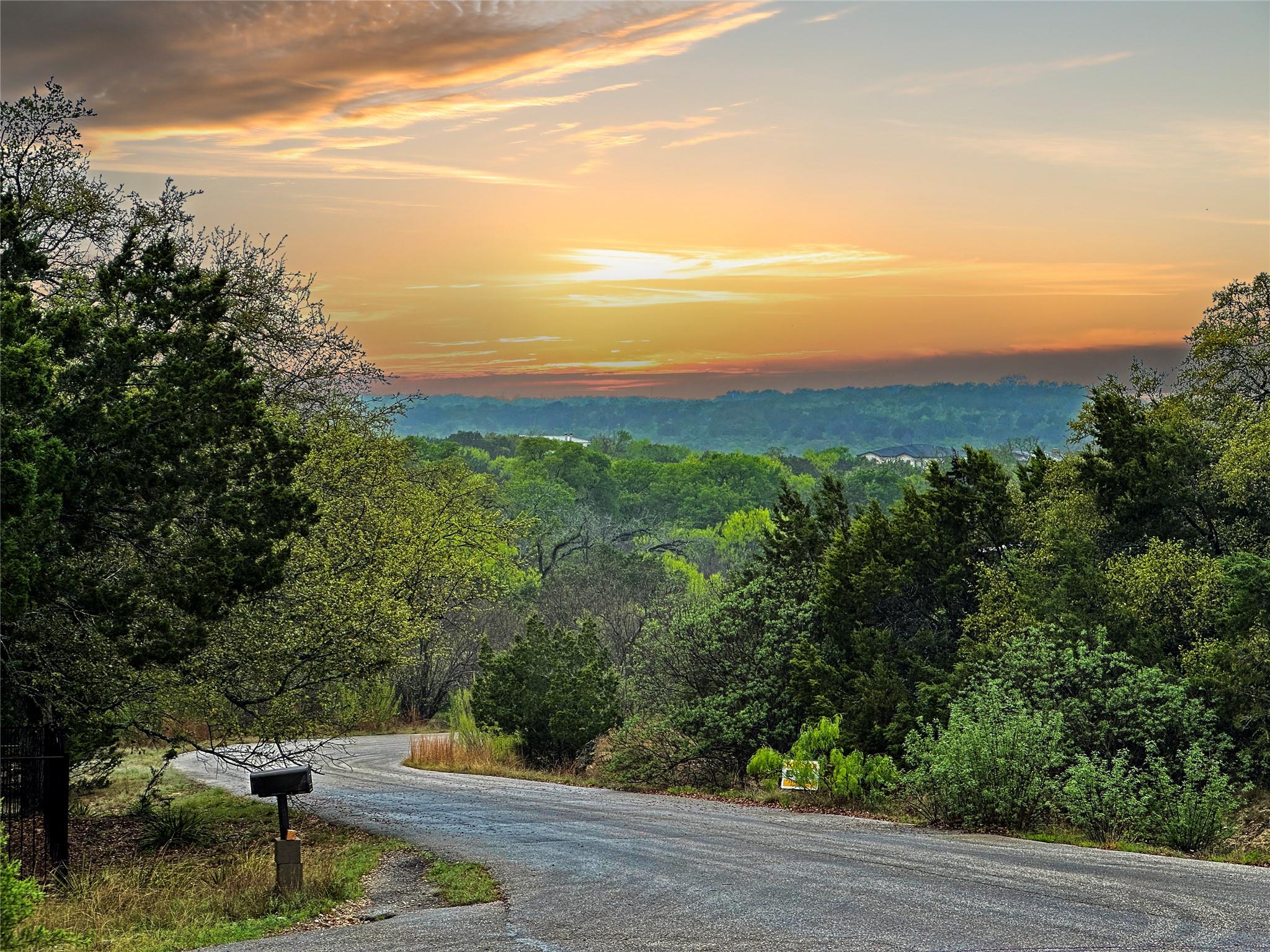 View of road with a forest view