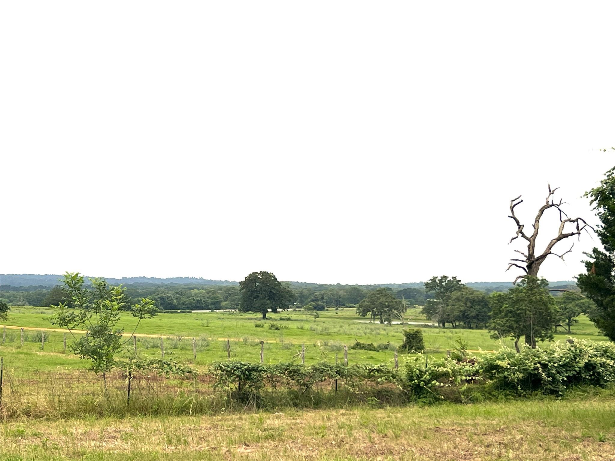 Listing photo 1 of 160  Rosanky Cattle Company Rd